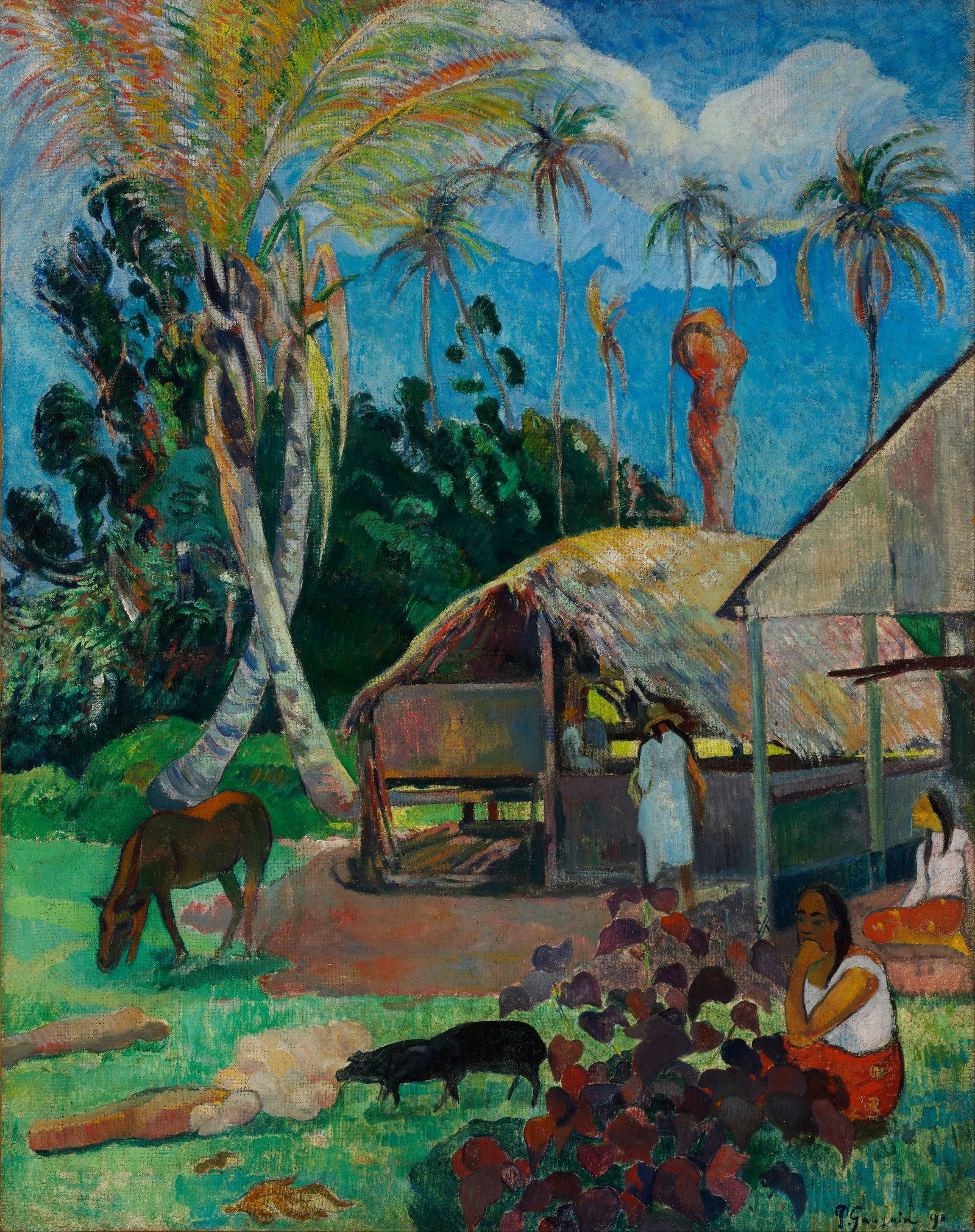 The Black Pigs