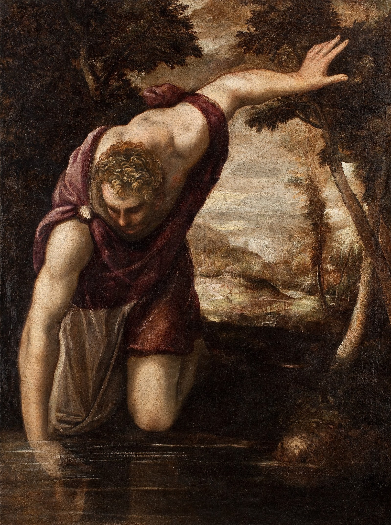 Narcissus