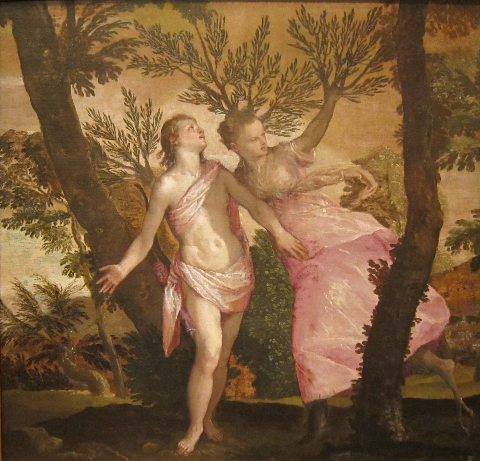 Apollo and Daphne