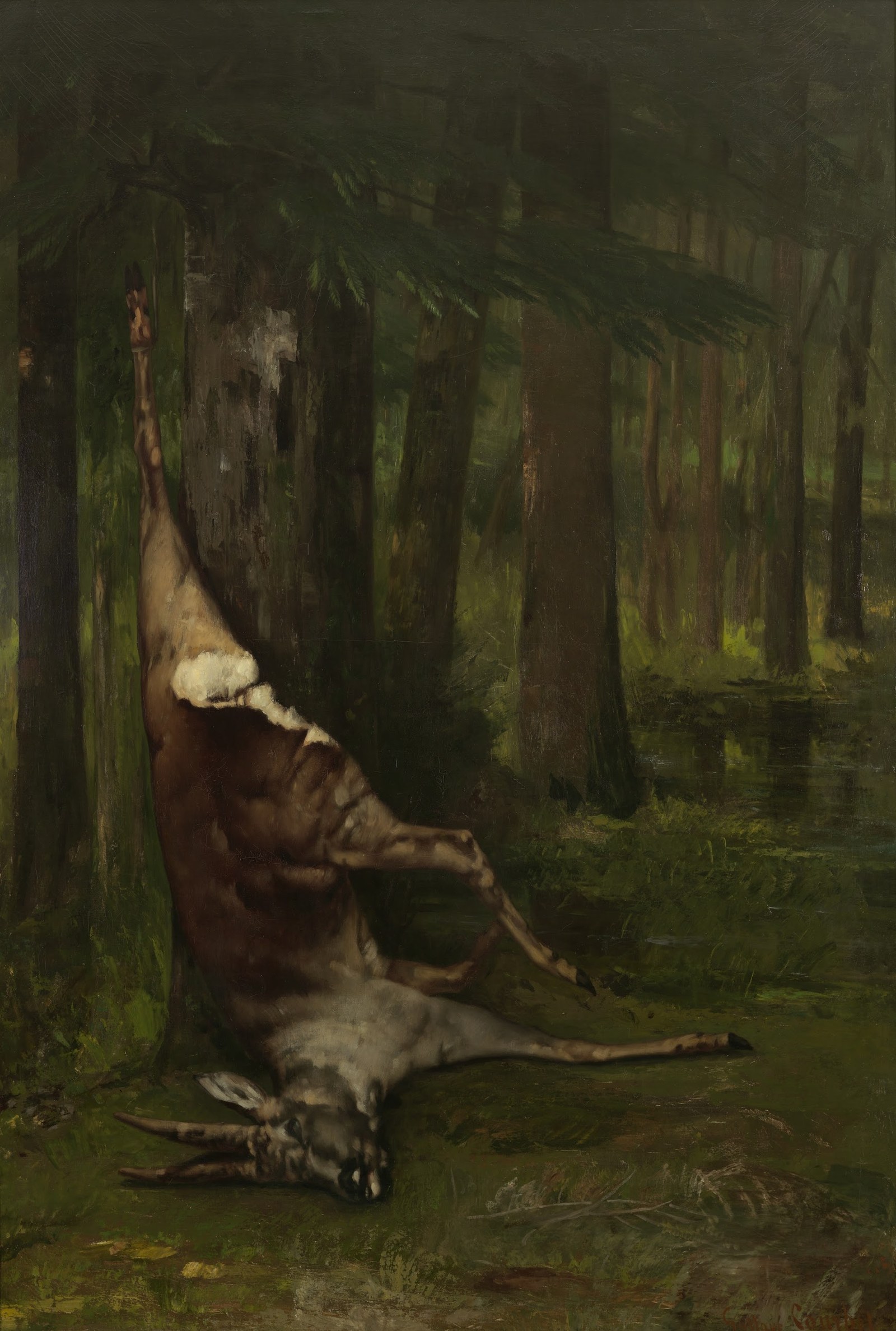 Hanging roe deer