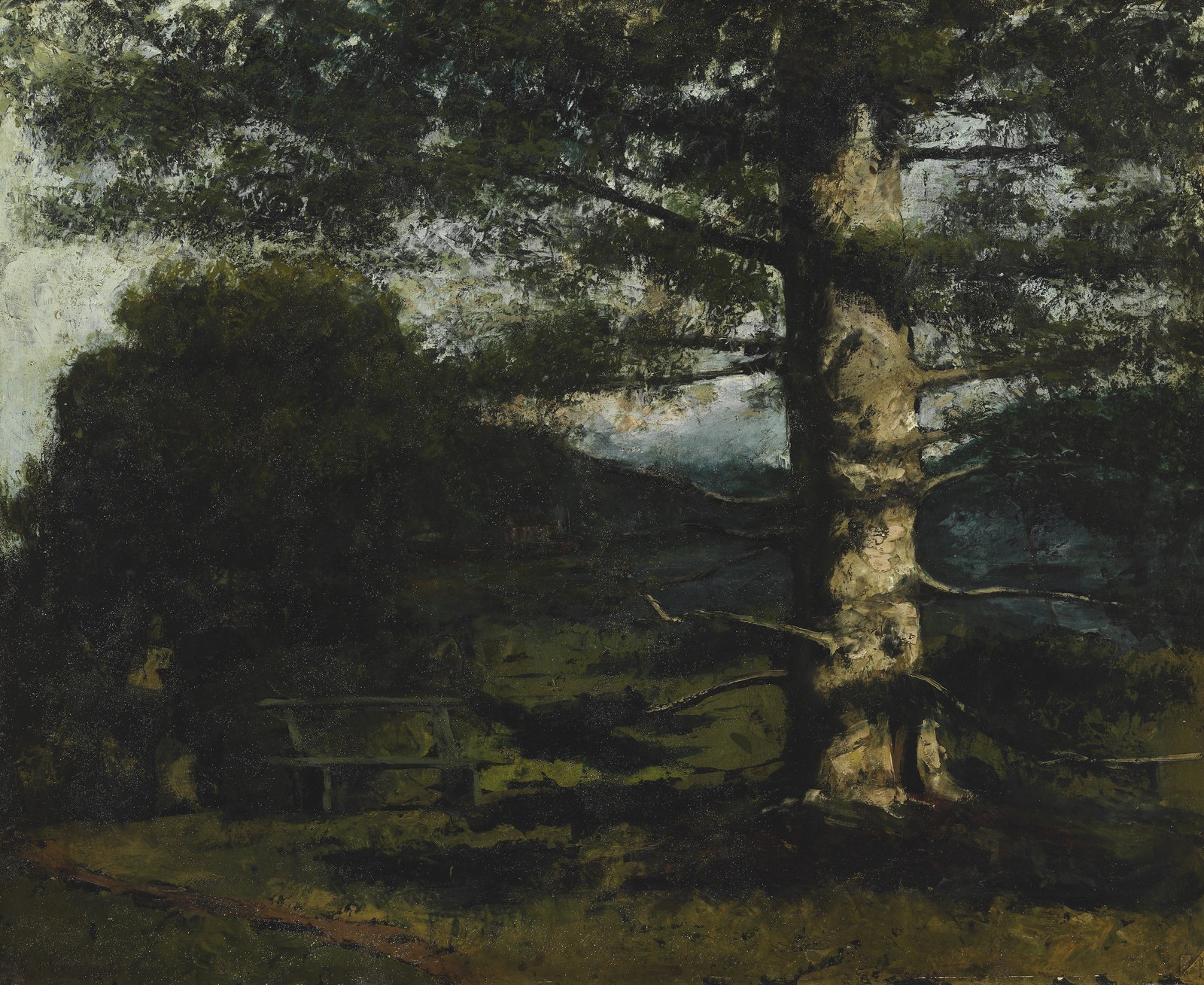 Cedar Tree at Hauteville
