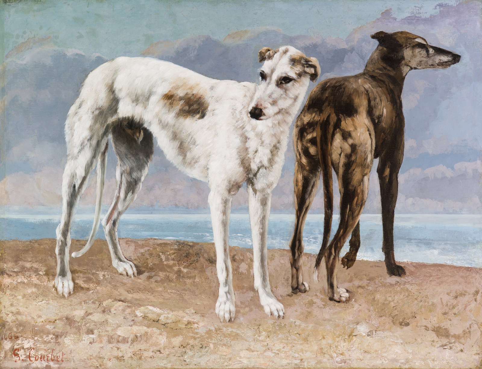 The Greyhounds of the Comte de Choiseul