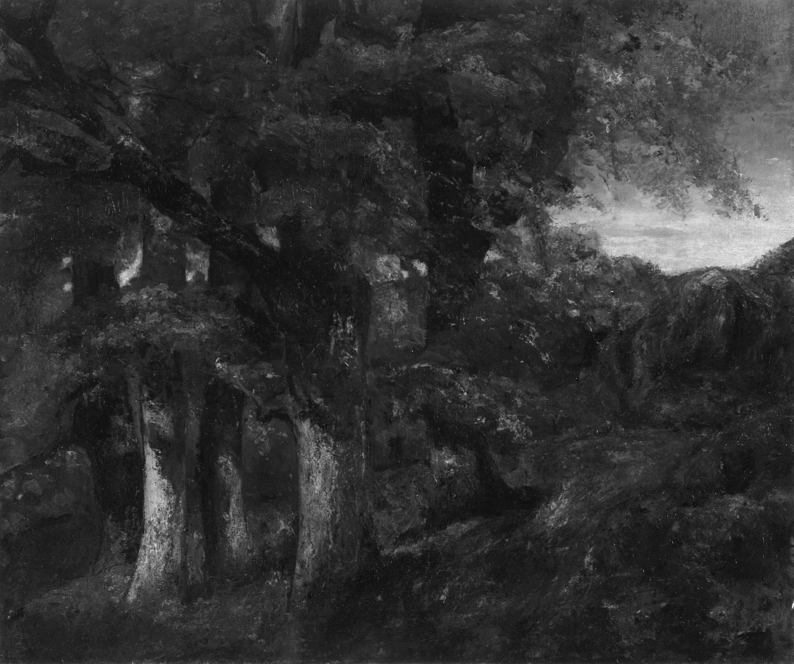 Wooded Landscape