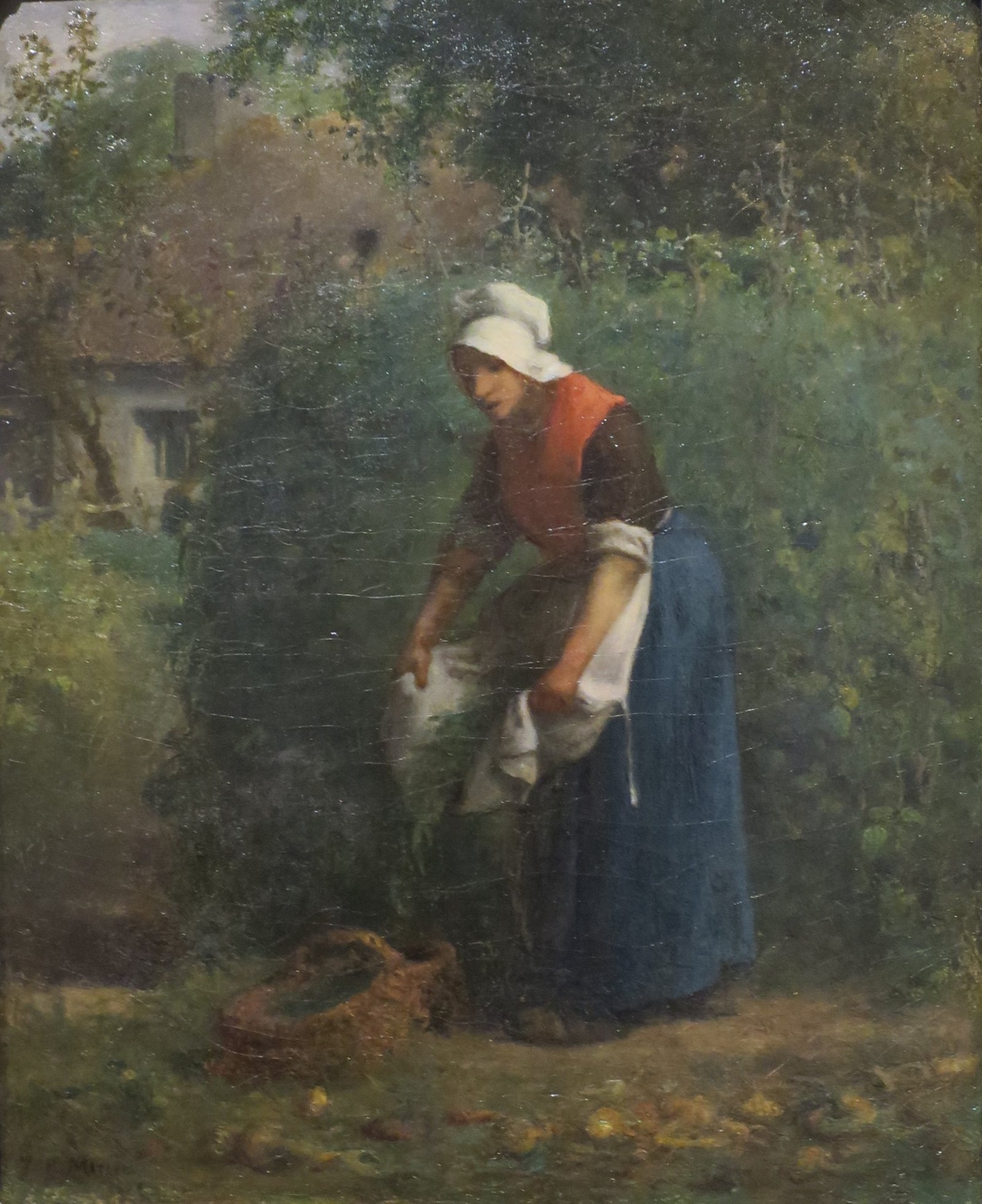 Gathering Beans