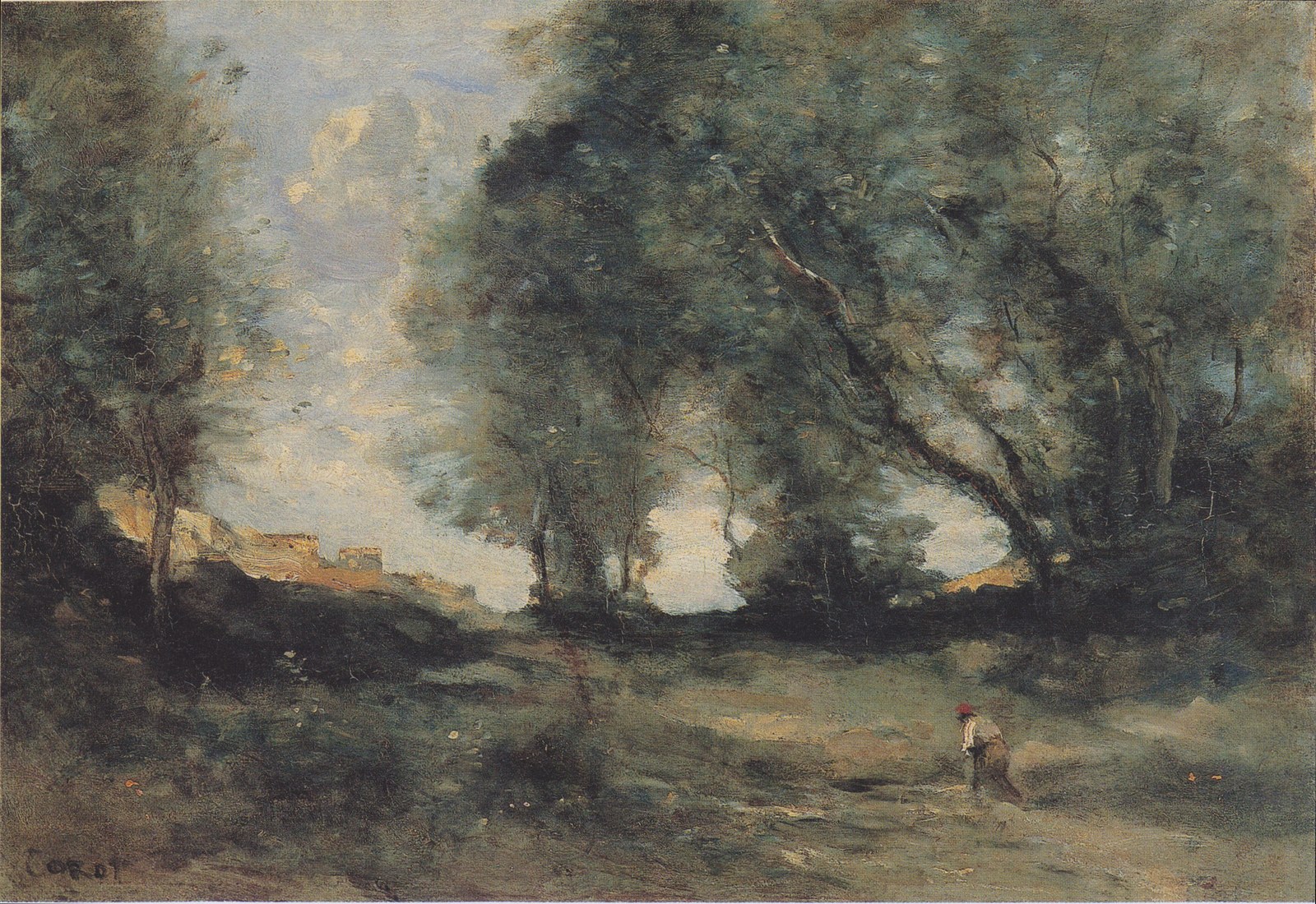 Forest landscape