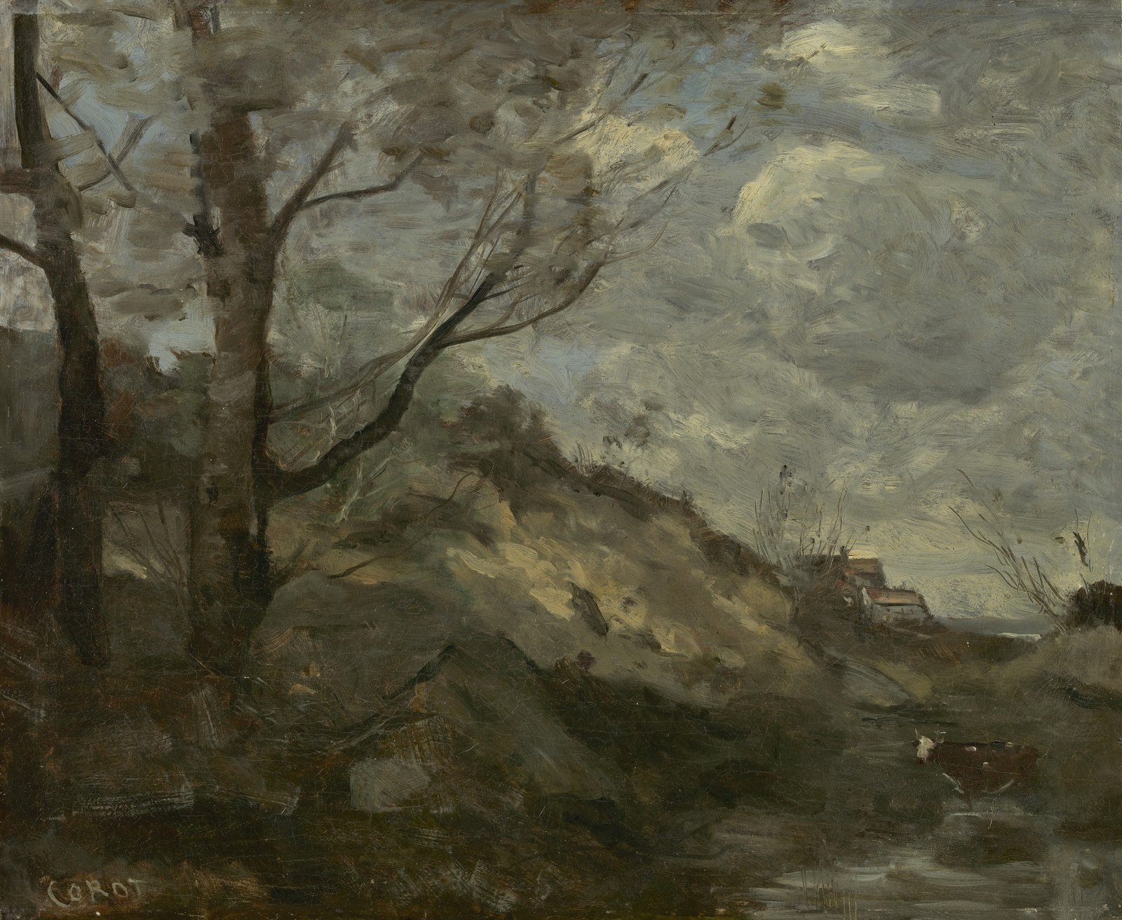 Dune landscape