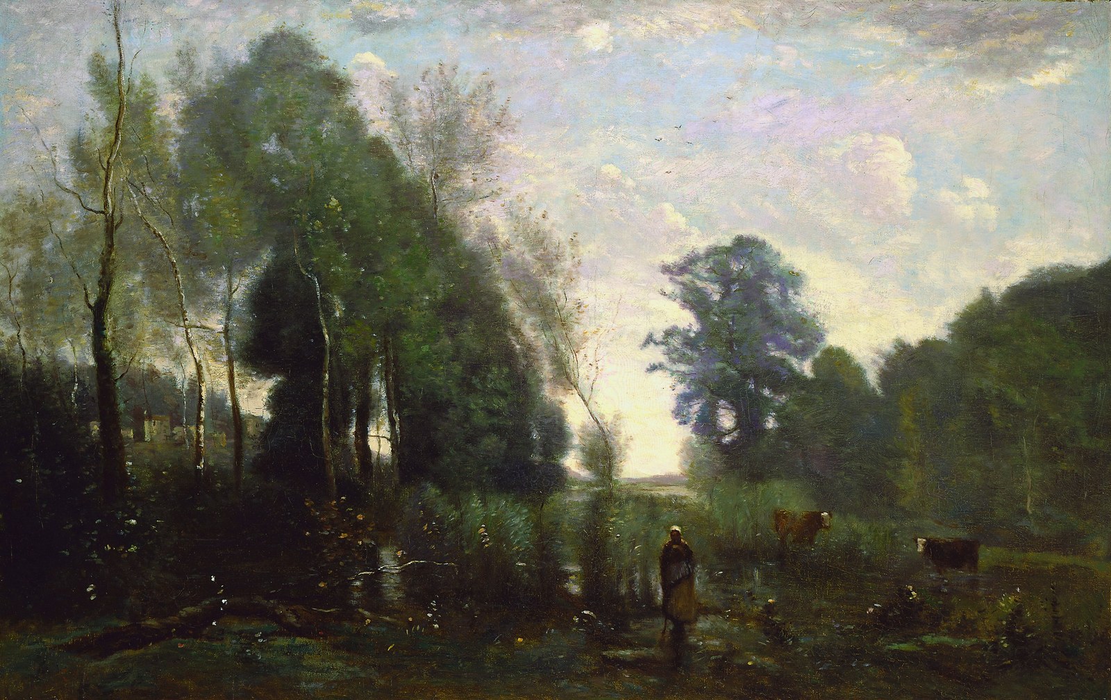Misty Morning