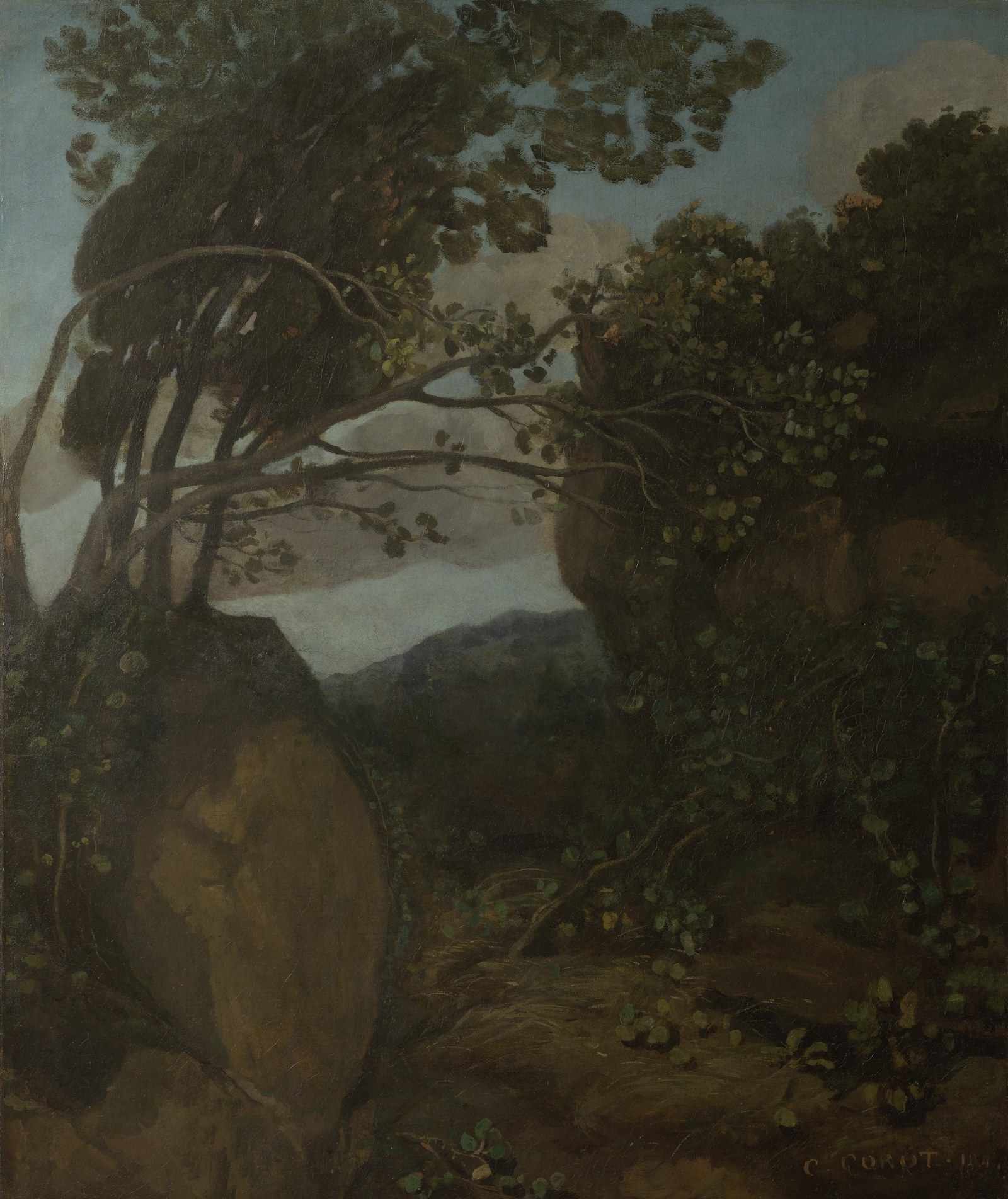 Souvenir of Nemi. Rocks and Shrubs