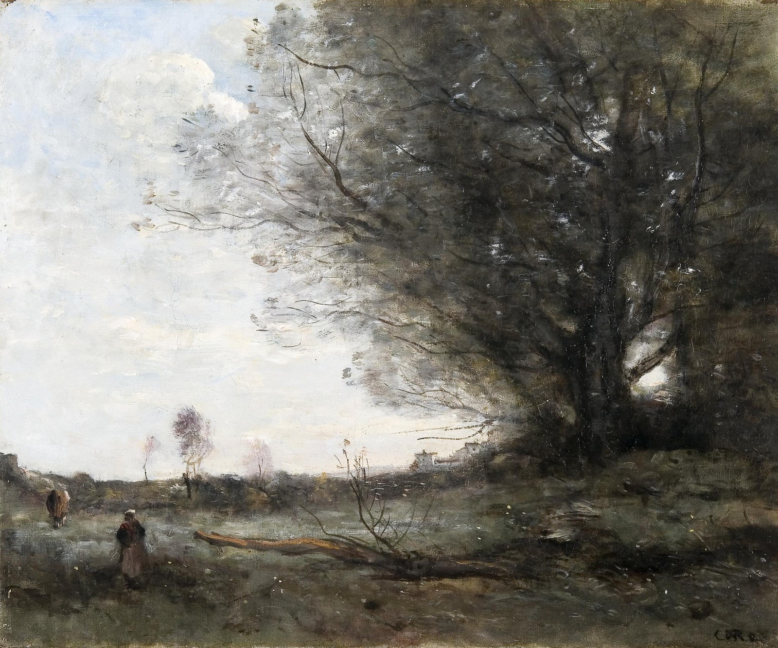 The Beech Tree