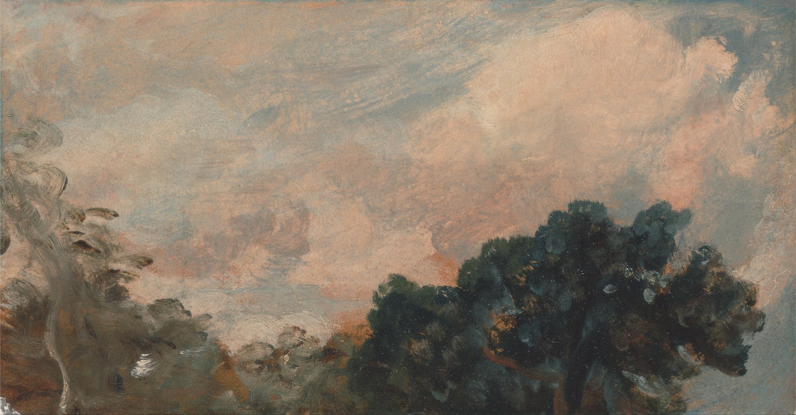 Cloud Study with Tree