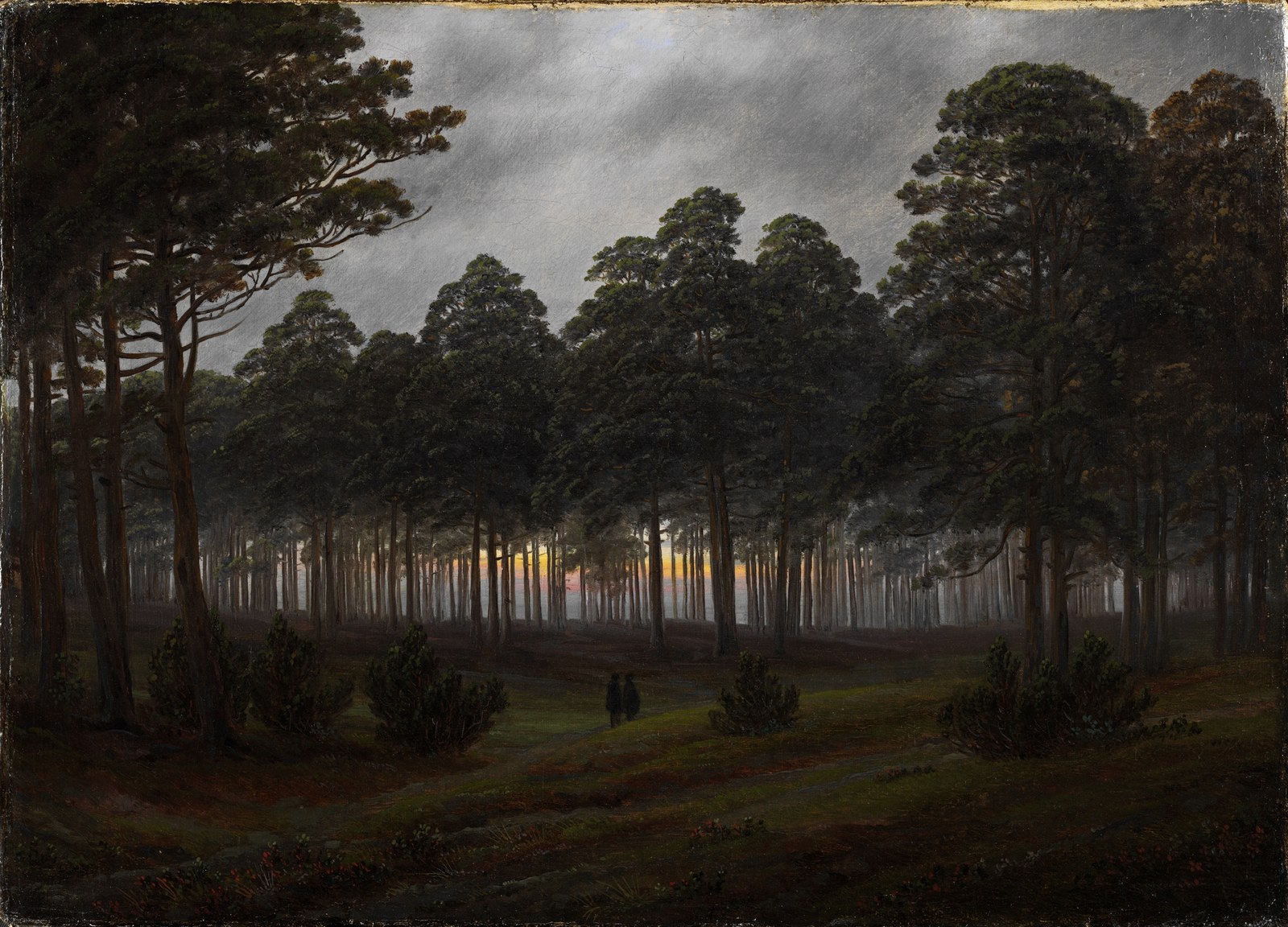Daytime cycle: The Evening