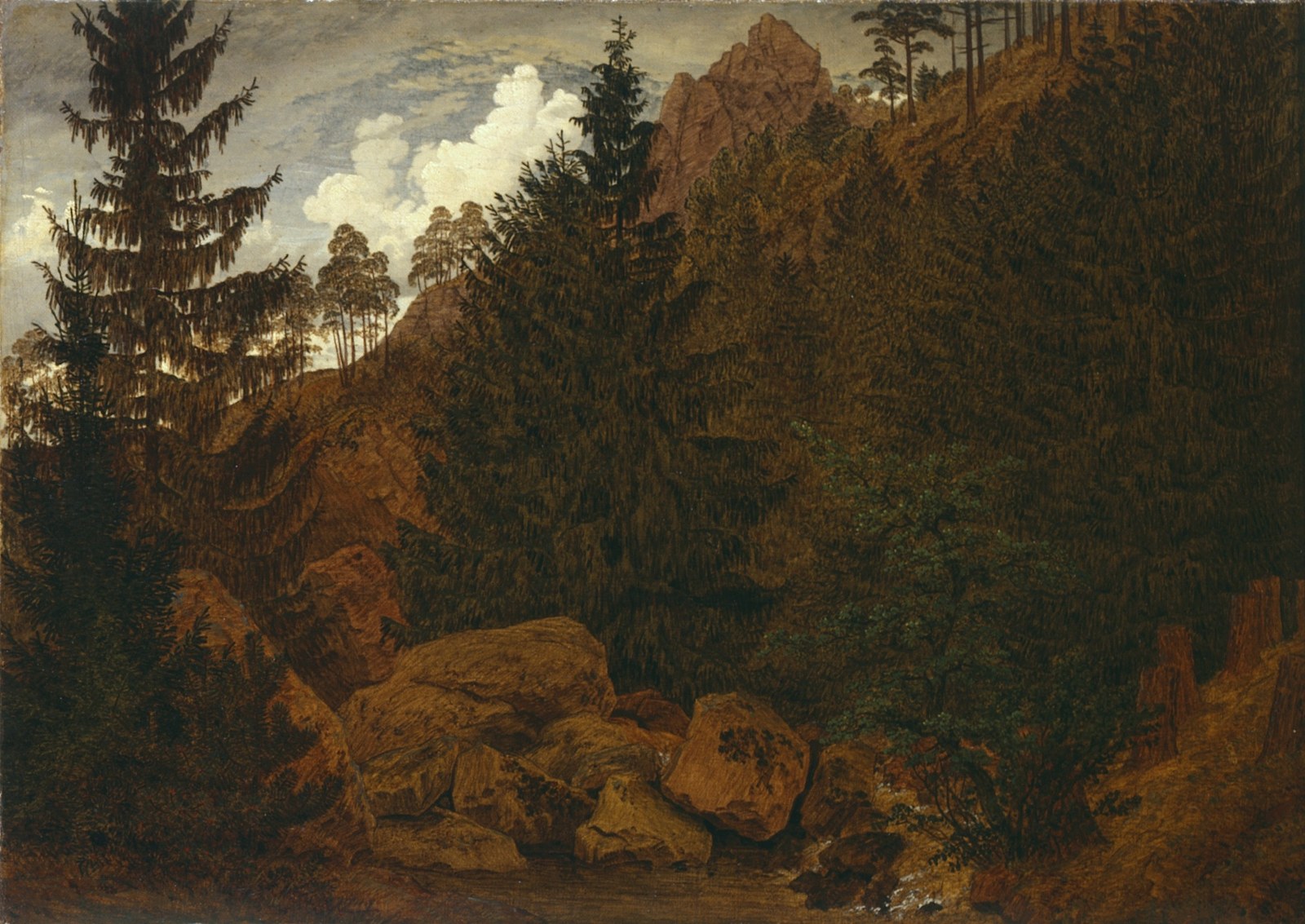 Rocks