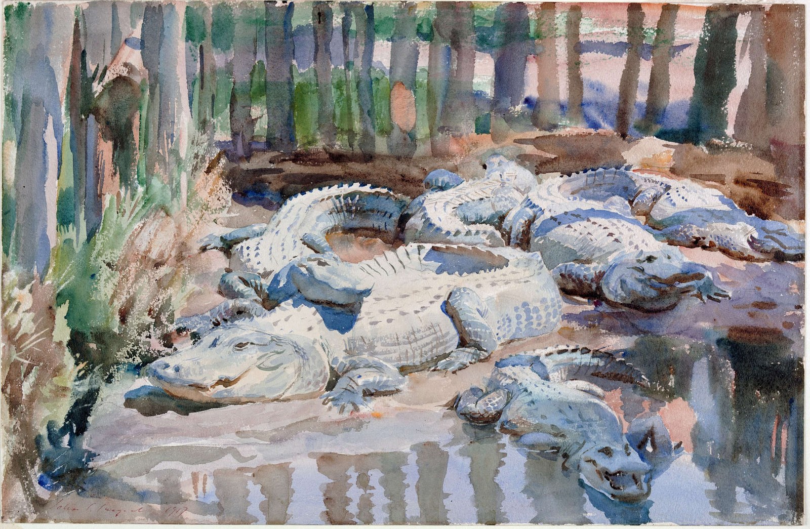 Muddy Alligators