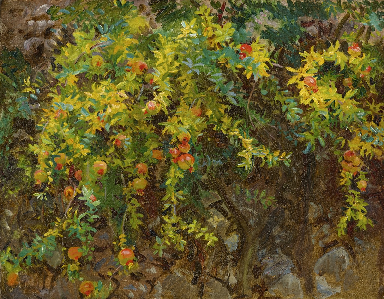 Pomegranates, Majorca