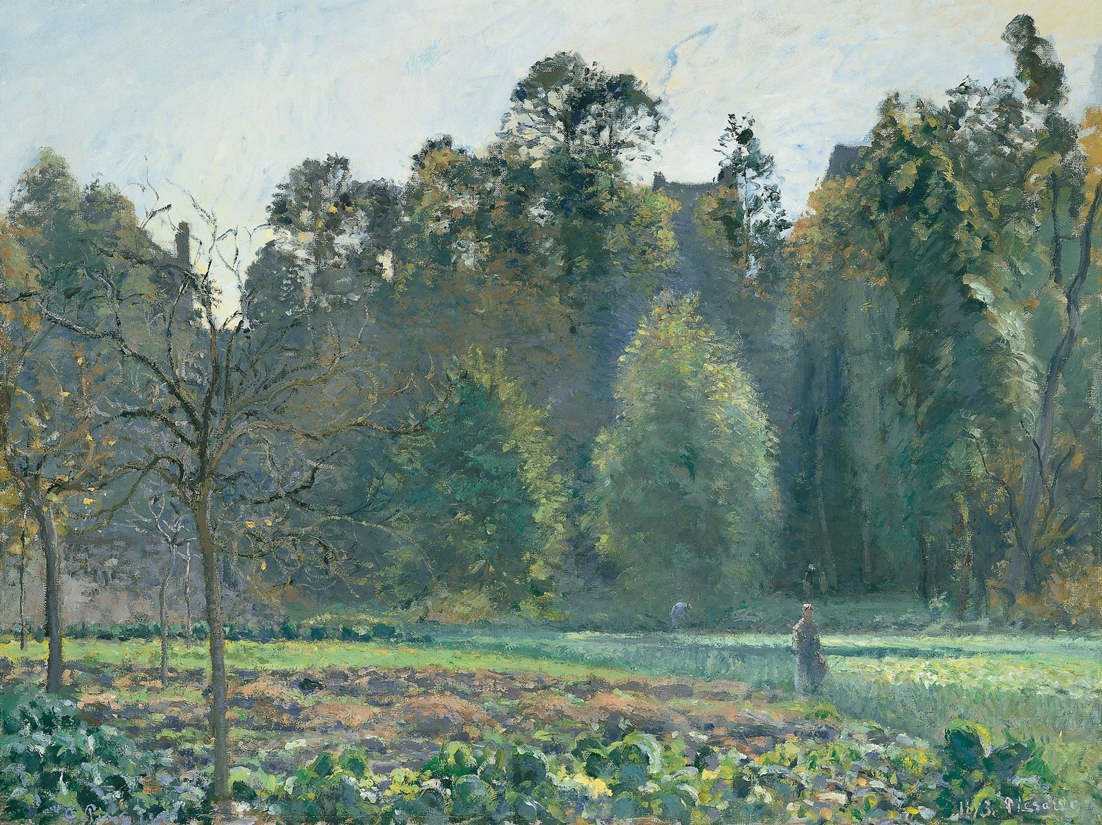Cabbage Field, Pontoise