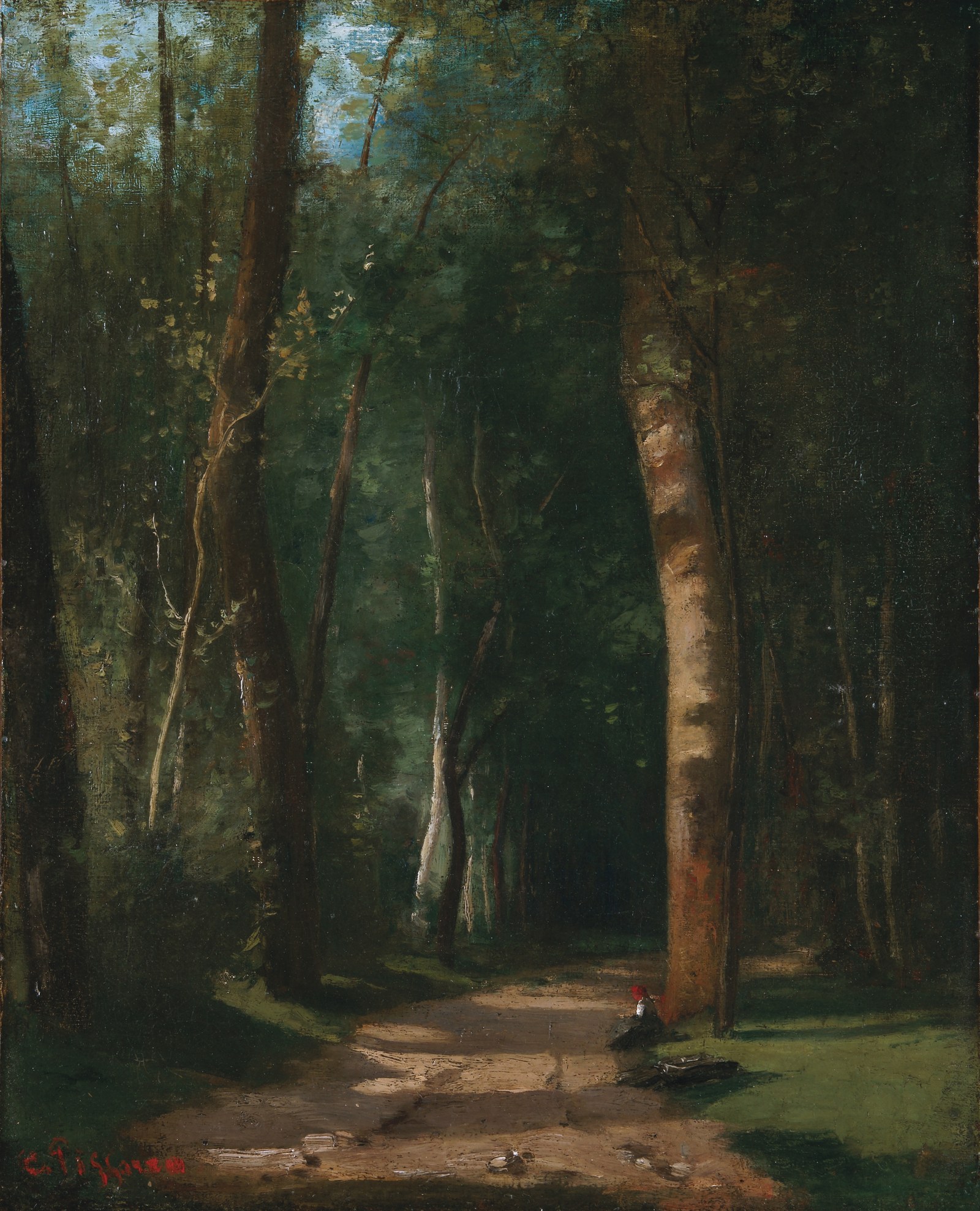 Forest Path