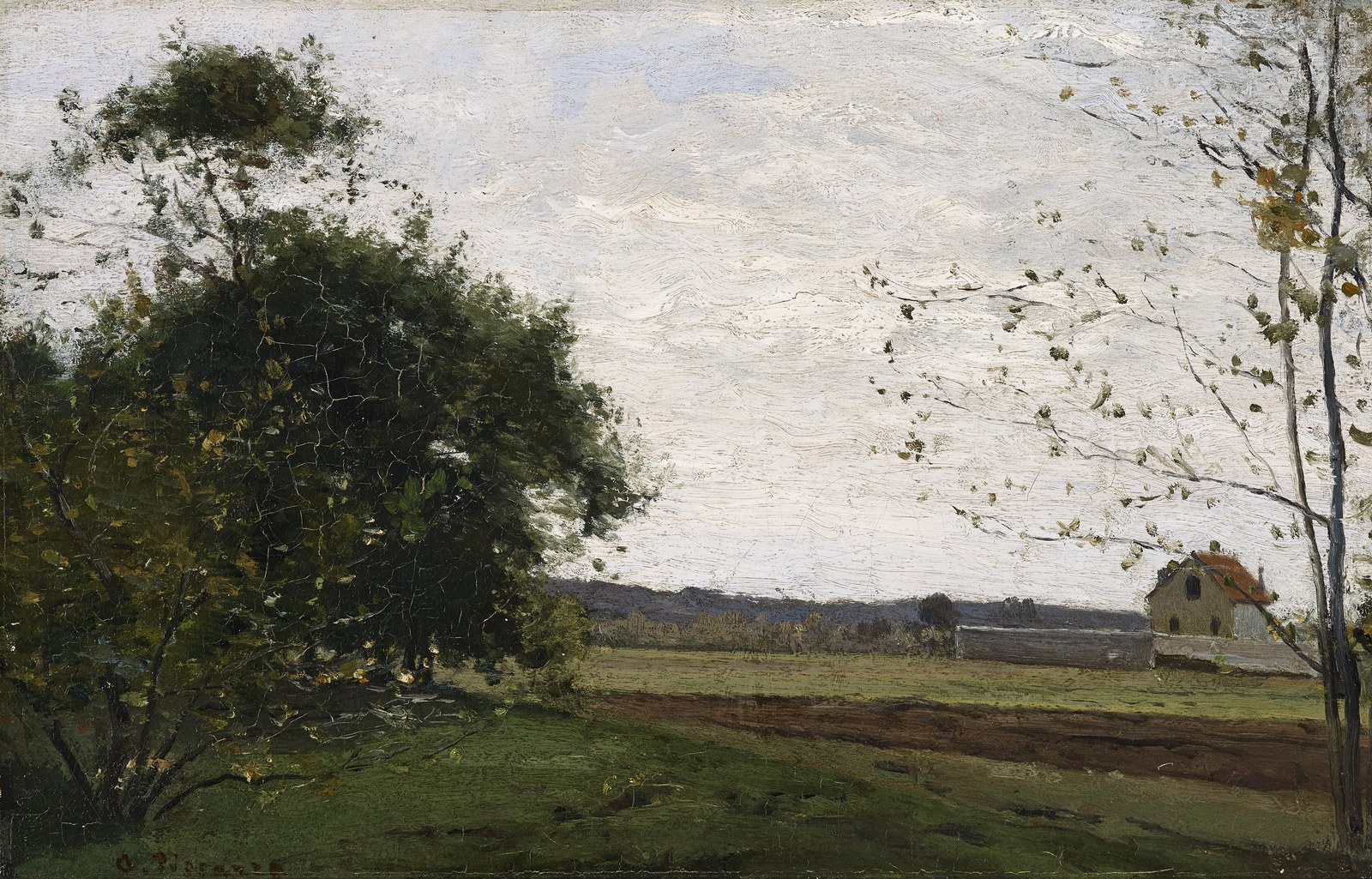 Landscape