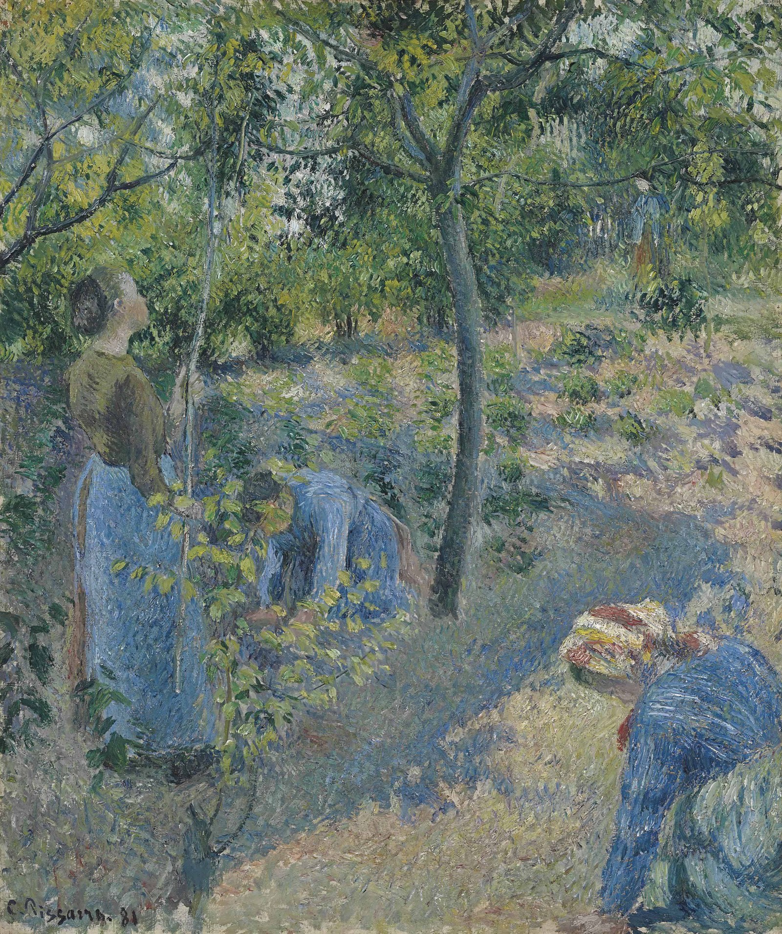 Picking Apples