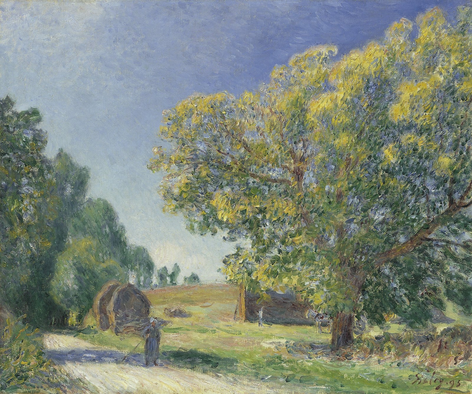 A Forest Clearing