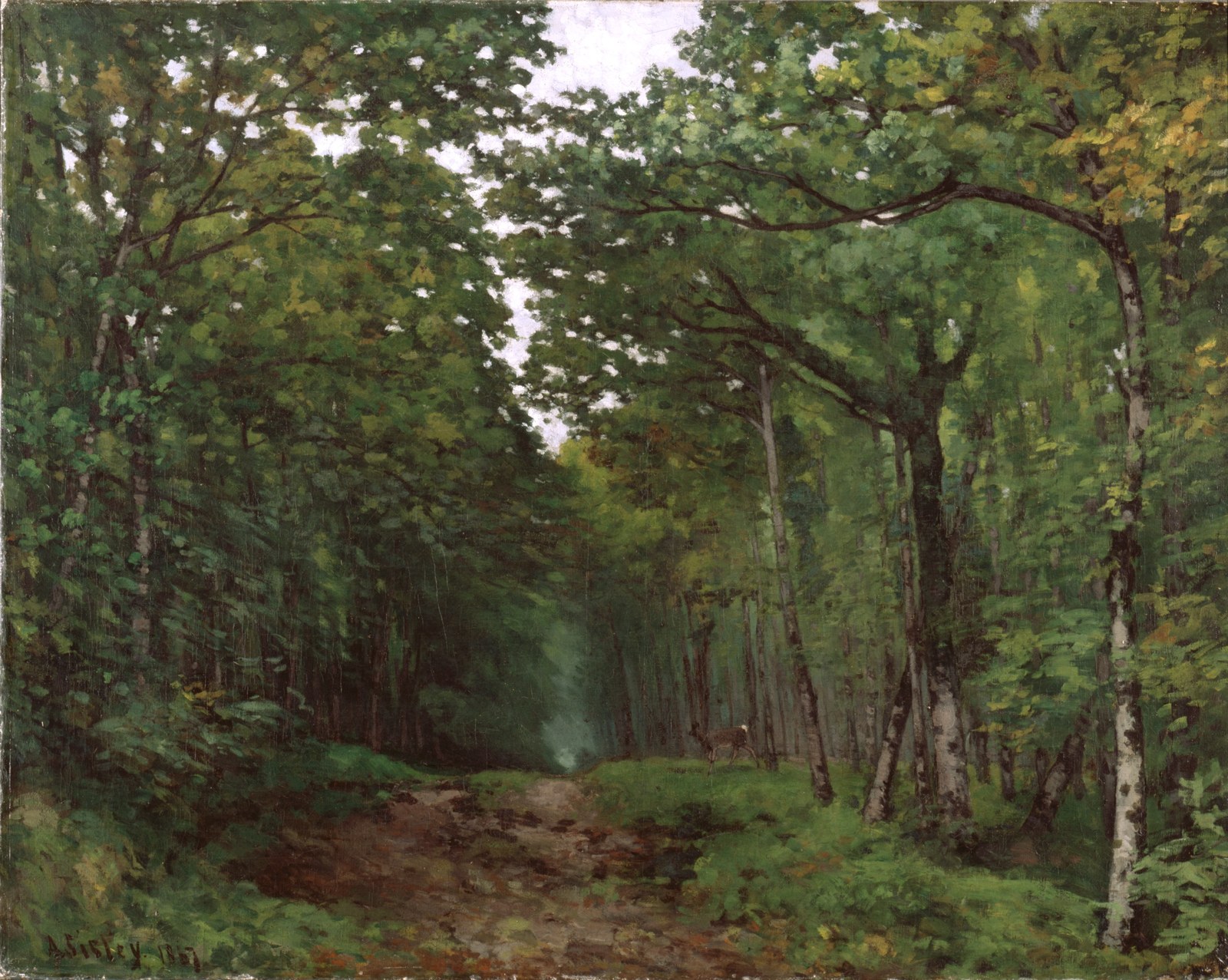 Avenue of Chestnut Trees at La Celle-Saint-Cloud