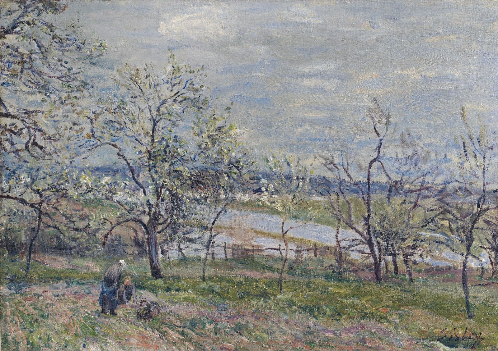 Q111046381