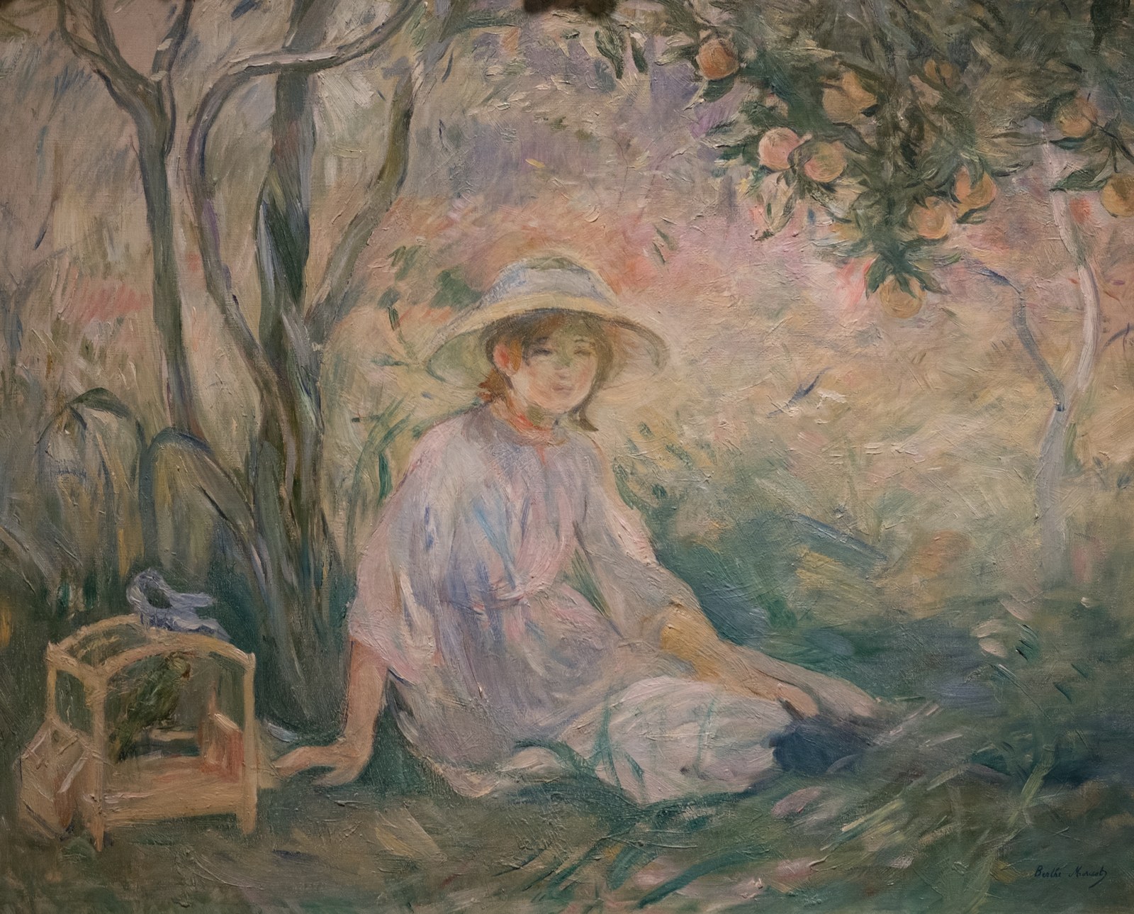 Under the Orange Tree