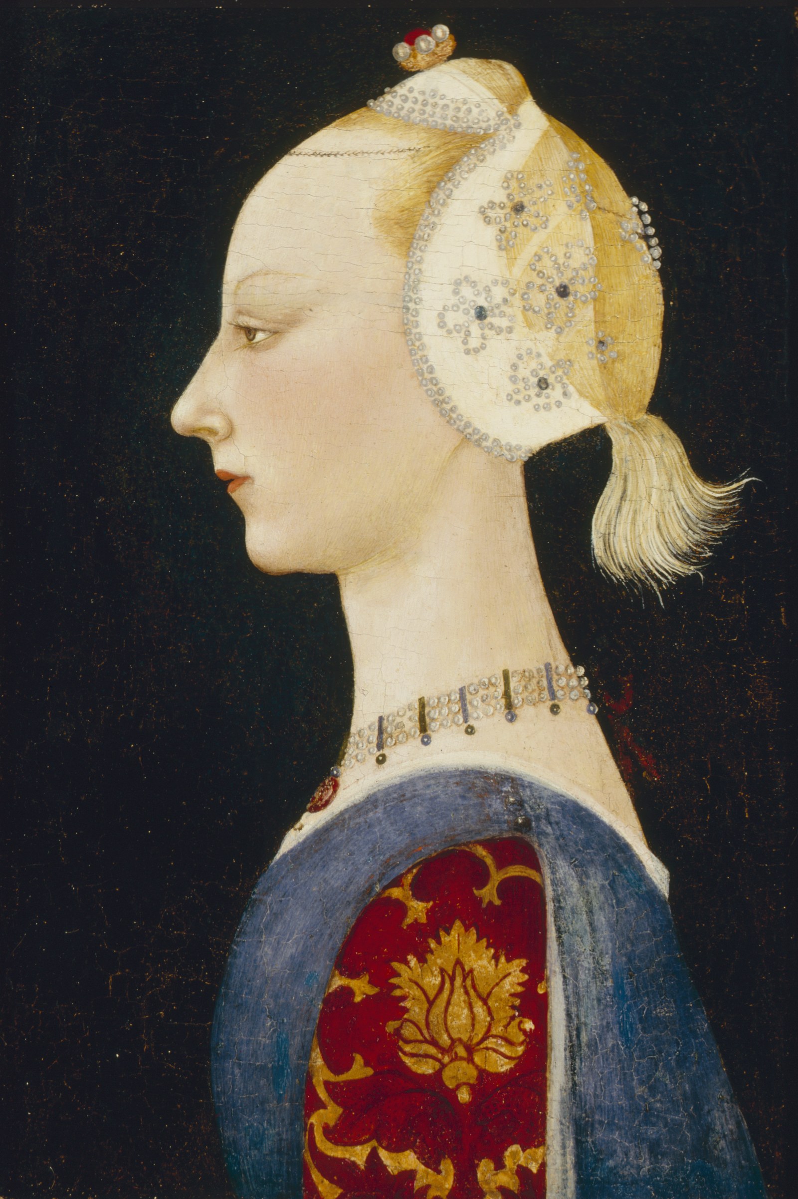 A Young Lady of Fashion
