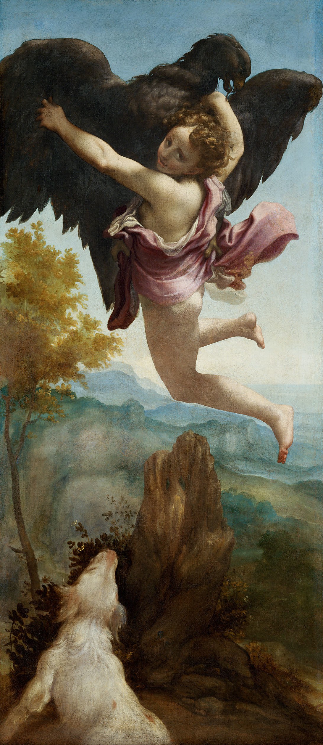 Antonio Allegri, gen. Correggio, , Kunsthistorisches Museum Wien, Gemäldegalerie - Entführung des Ganymed - GG 276 - Kunsthistorisches Museum