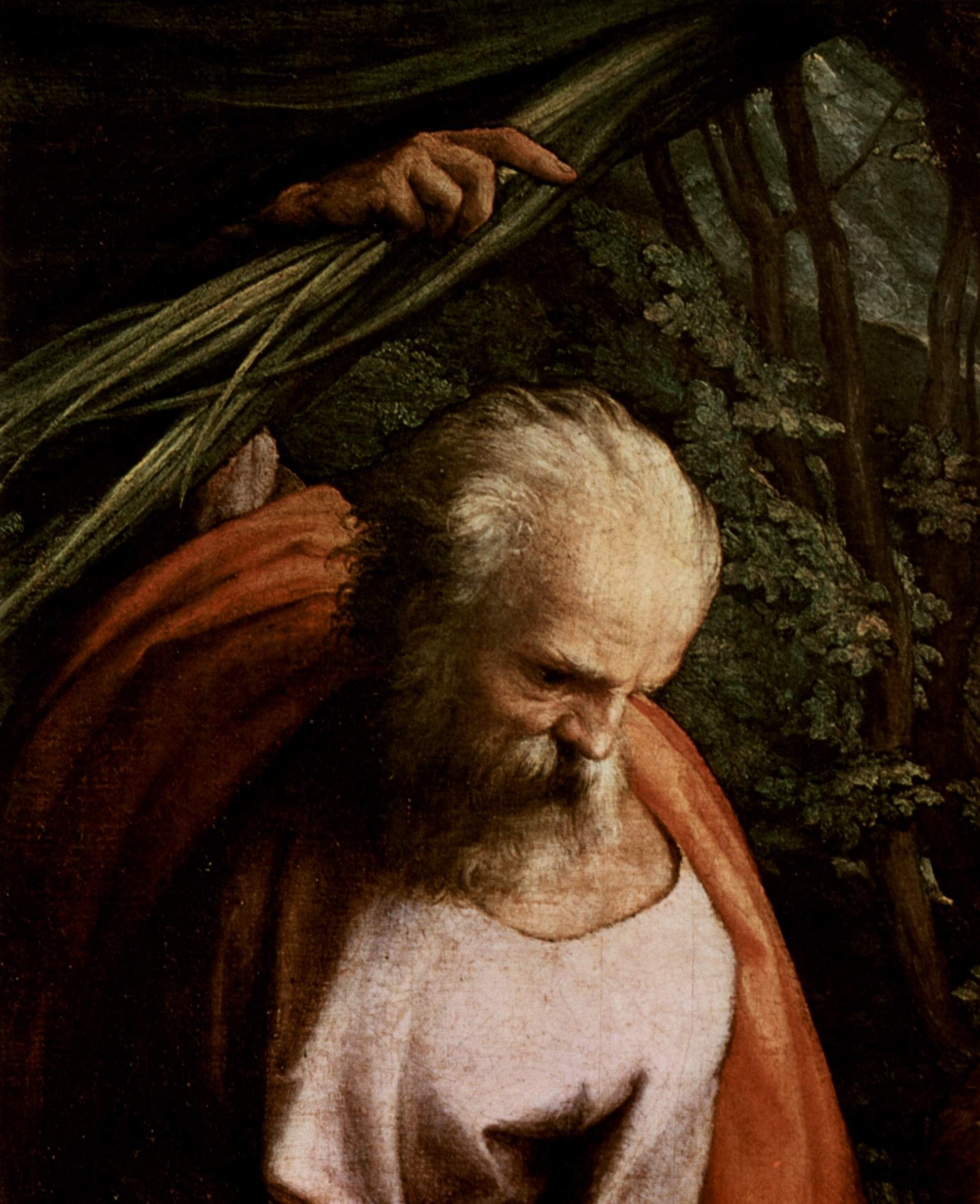 Correggio 060