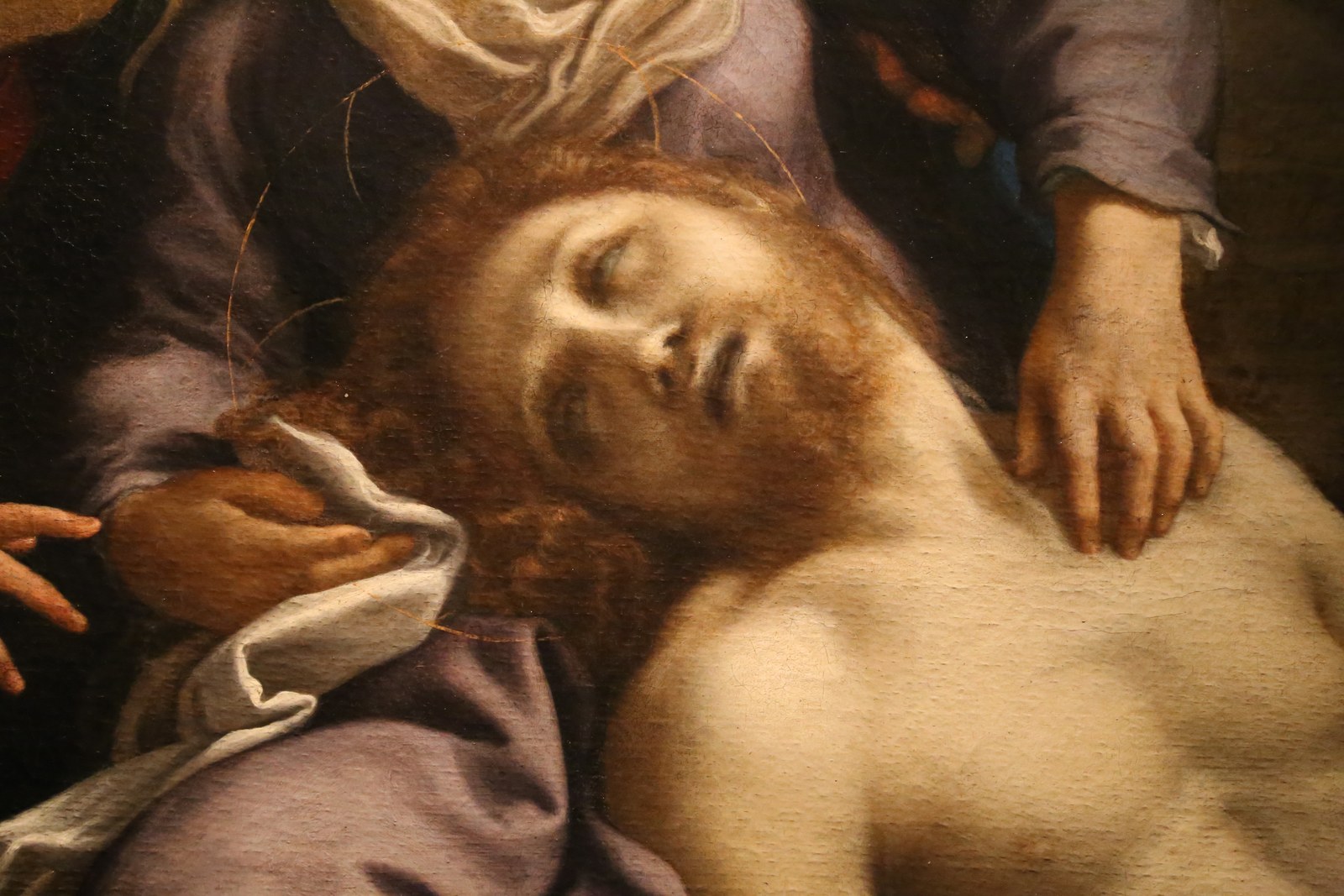 Correggio, compianto sul cristo morto, 1524 ca. 04