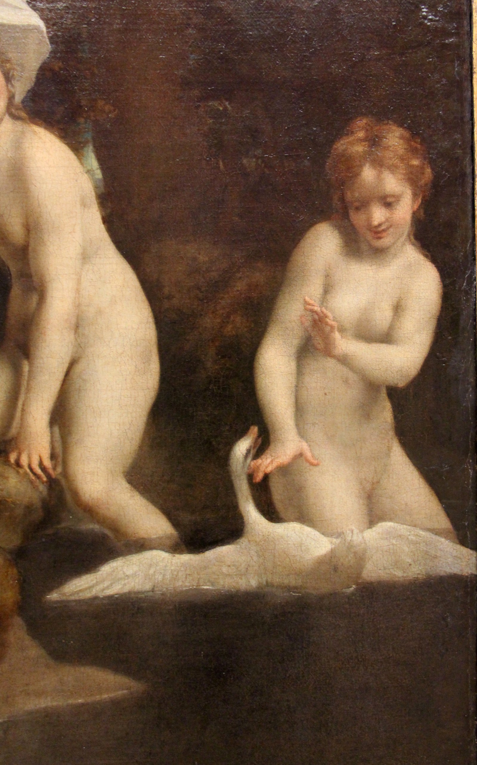 Correggio, leda e il cigno, 1532 ca. 08
