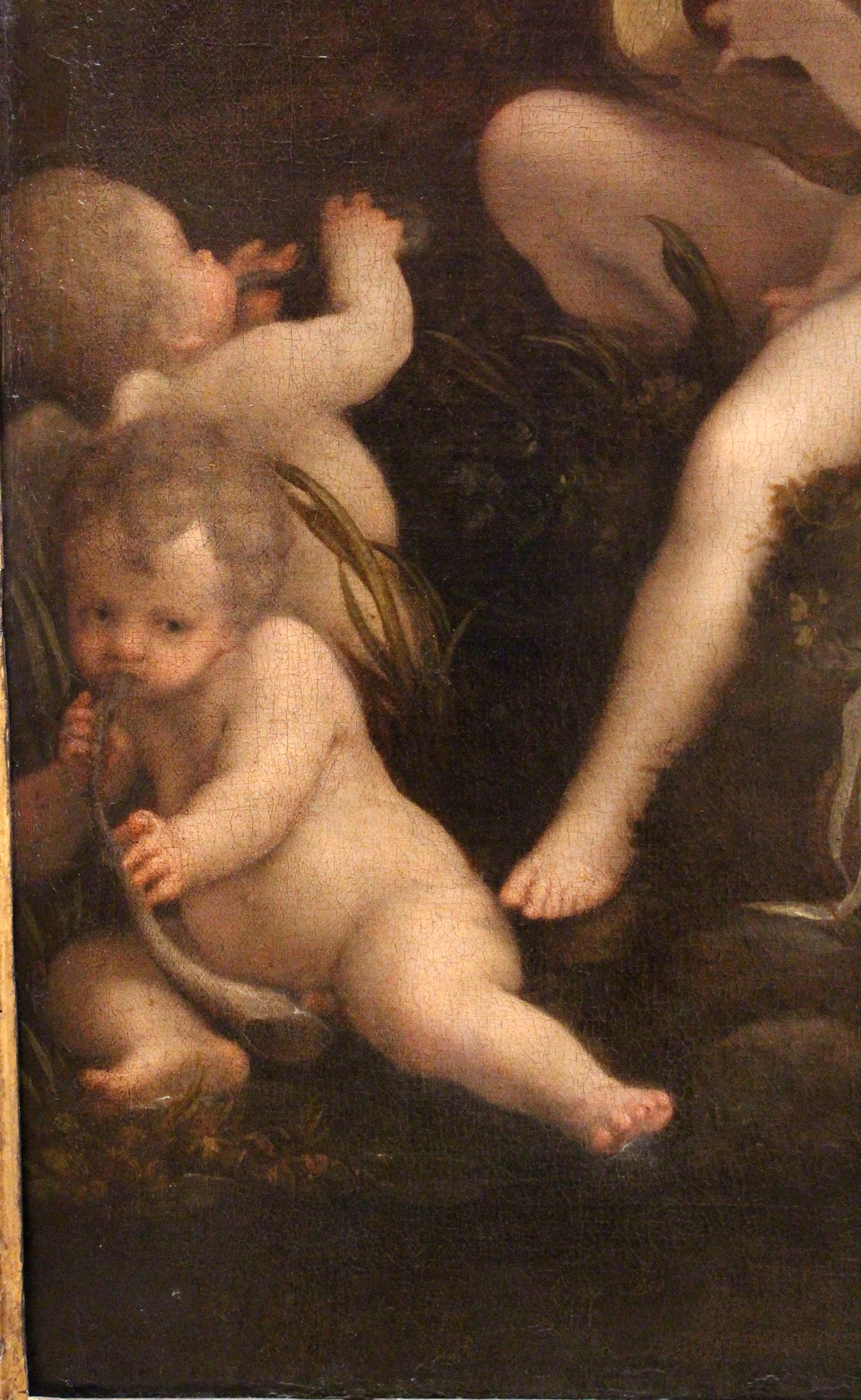 Correggio, leda e il cigno, 1532 ca. 02