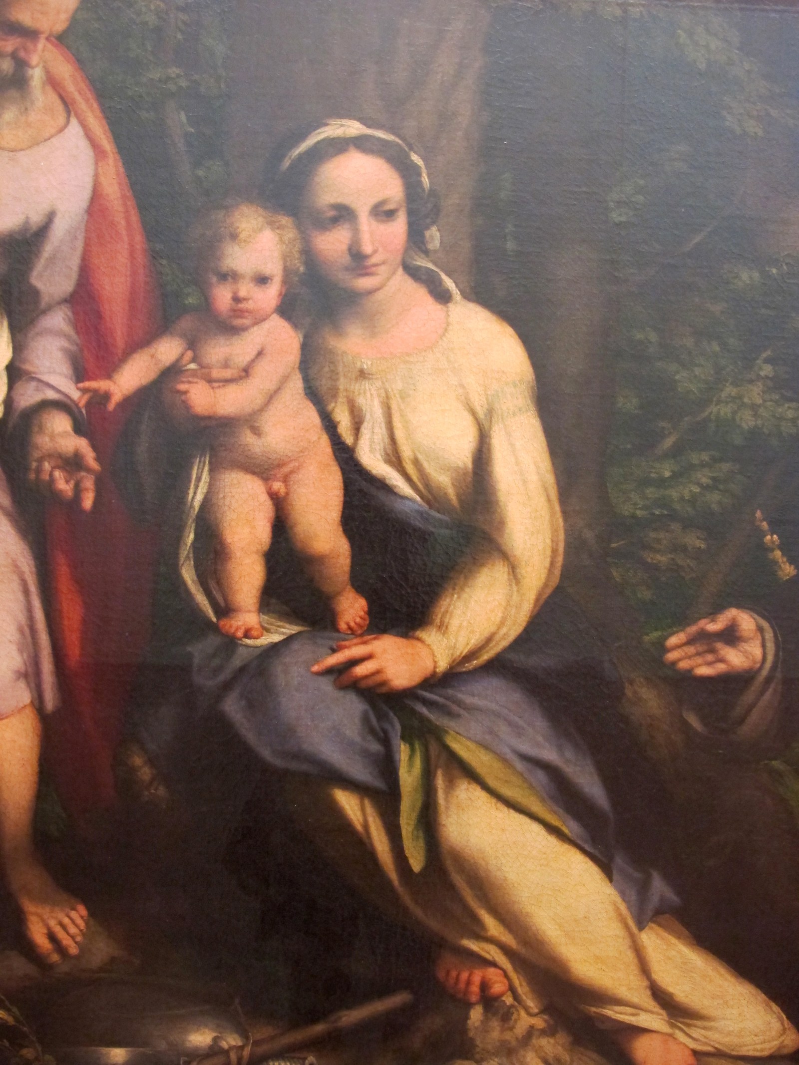 Correggio, riposo durante la fuga in egitto, 1517, 04