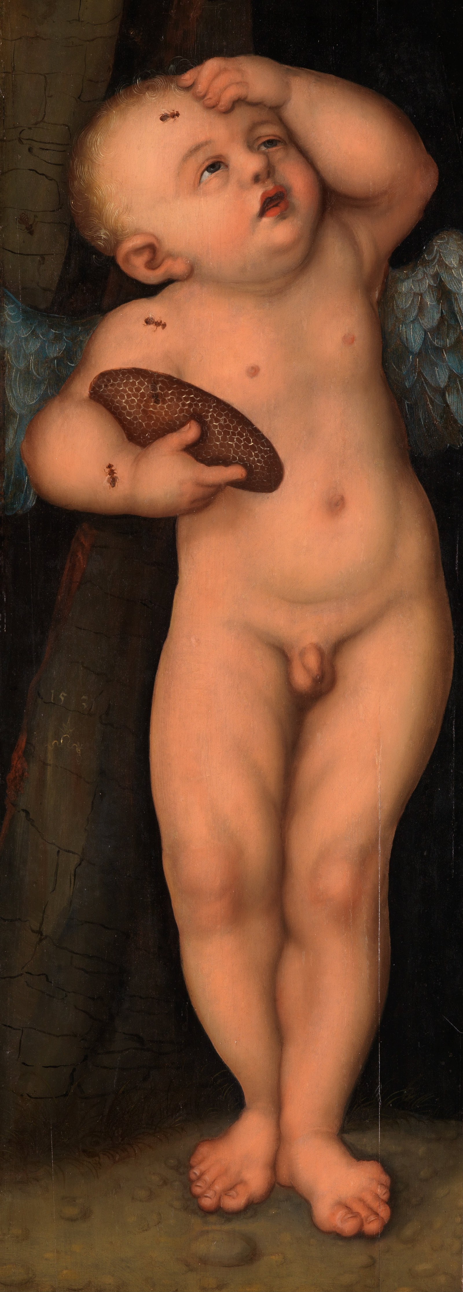 Cupid as Honey Thief