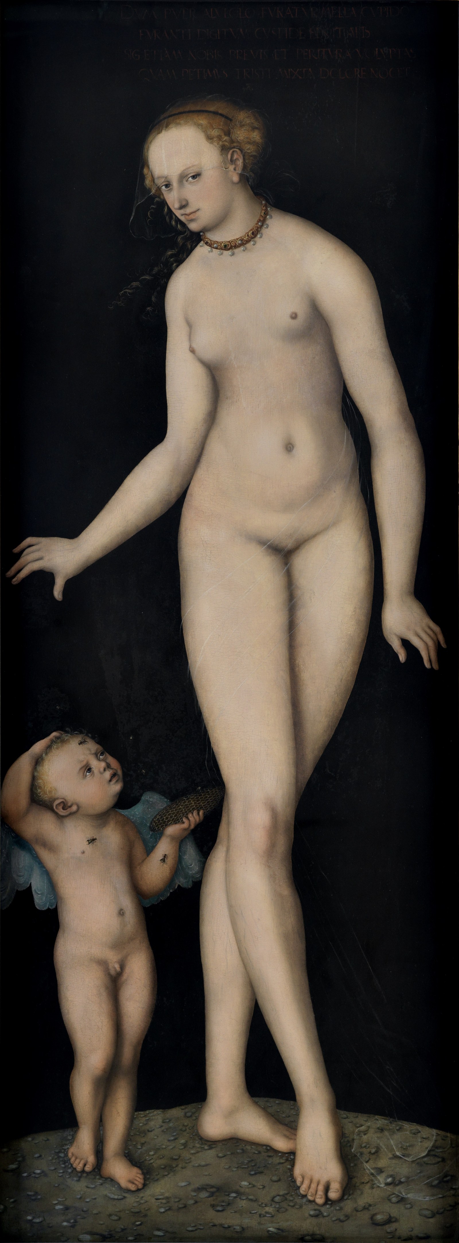 Venus with Cupid as a Honey Thief against a Black Background