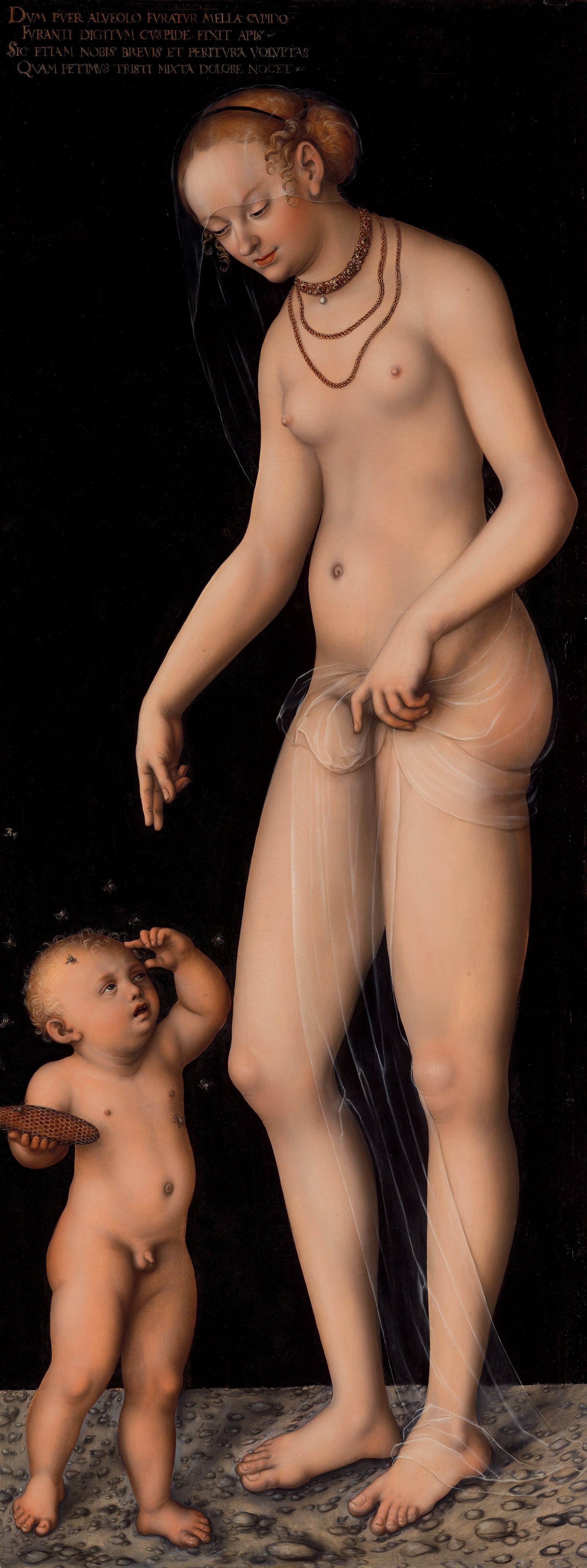 Venus with amor the honey thief