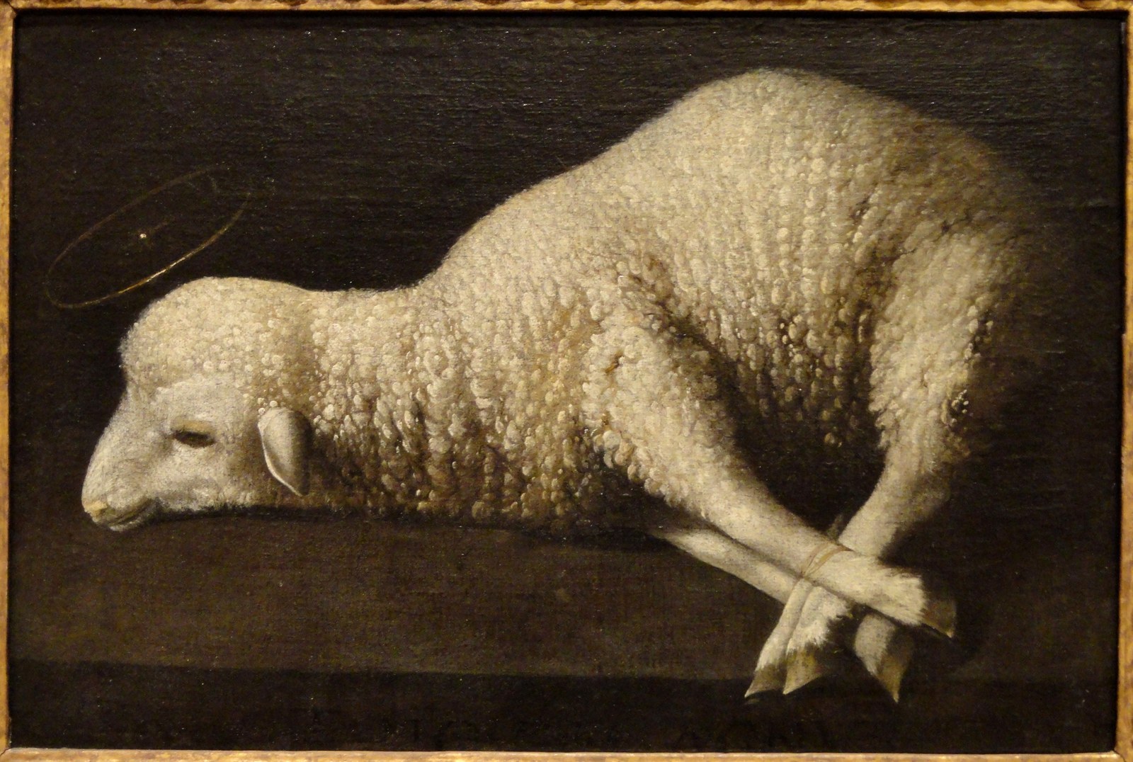 The Lamb of God