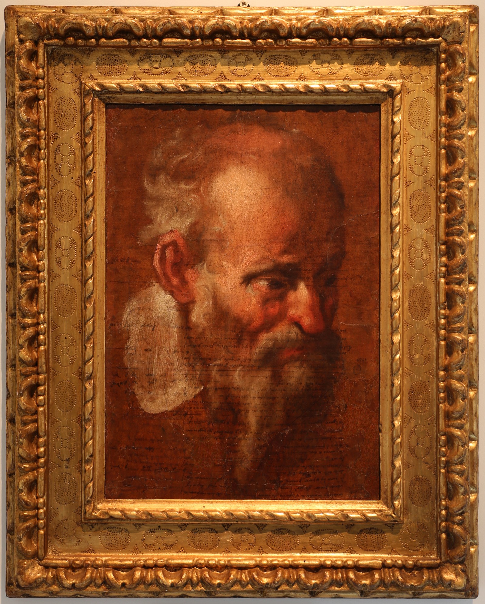 Study of a Head of a bearded Man