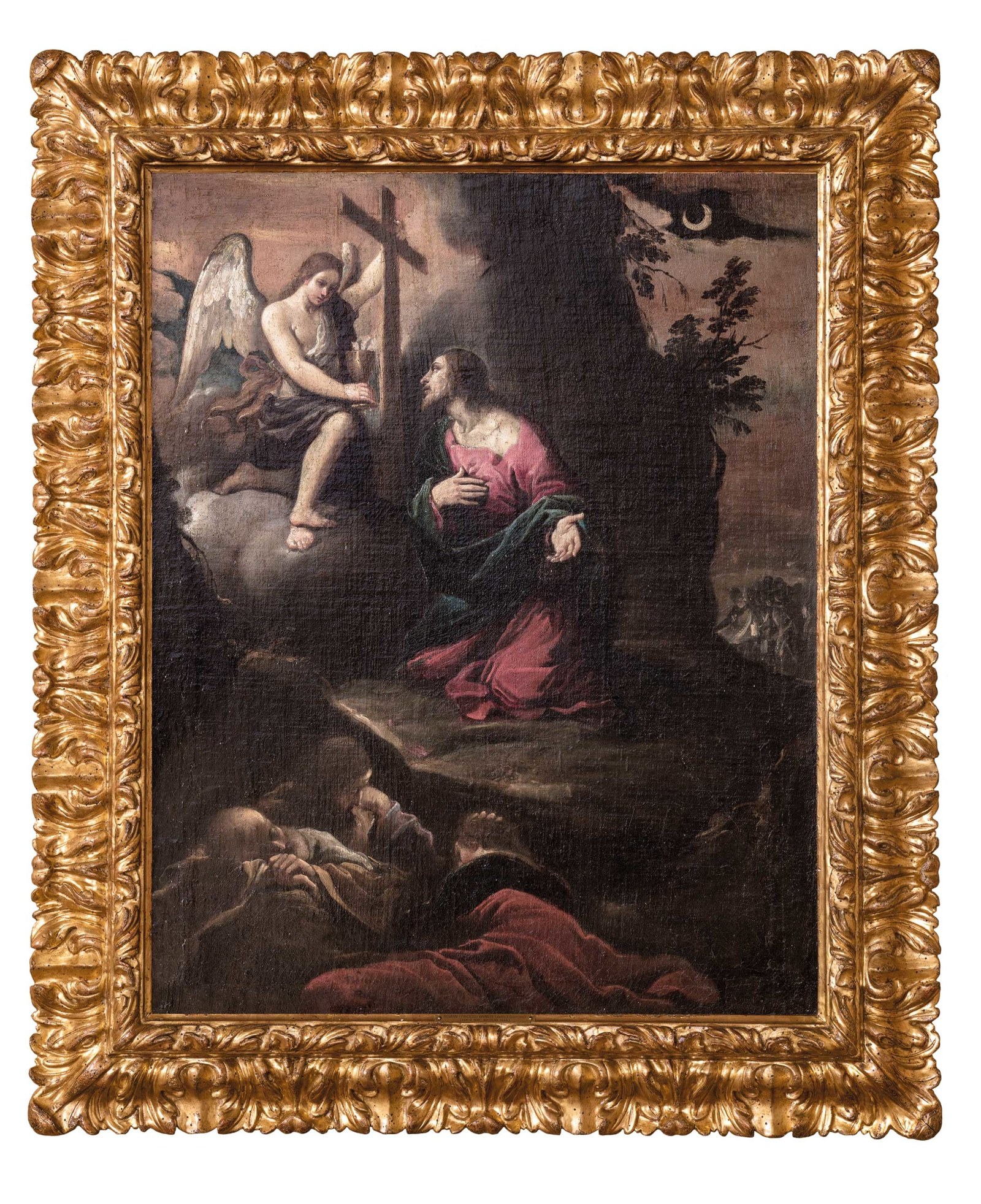 Q134486447