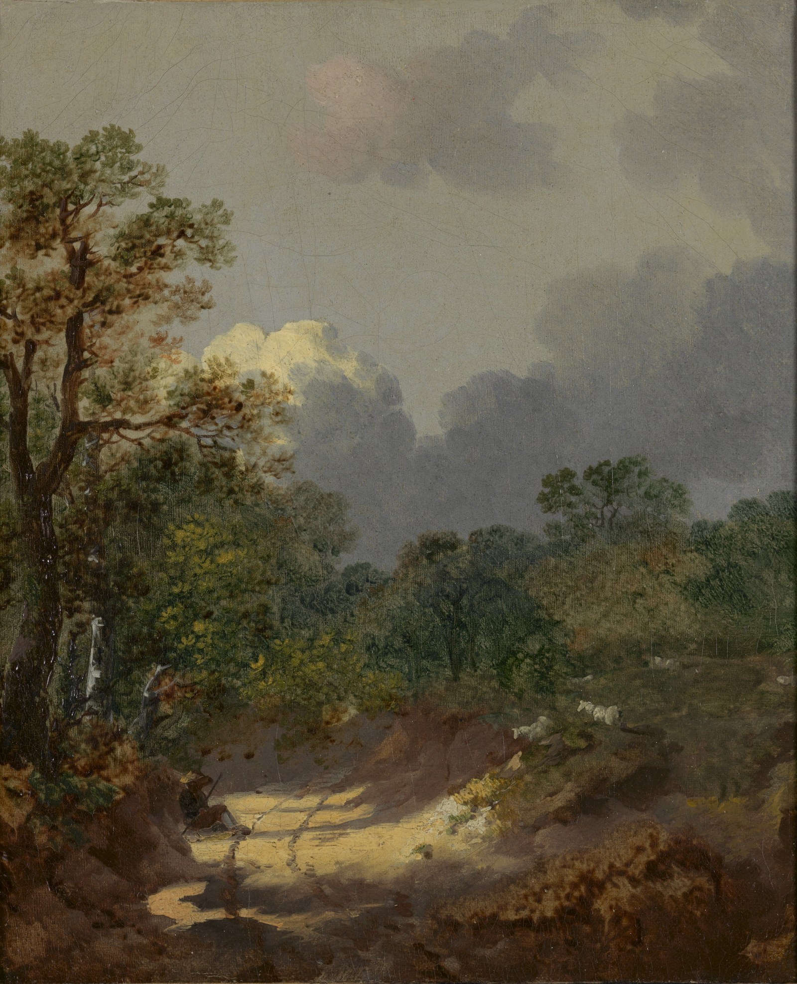 Wooded landscape with resting shepherd at a sunny road with sheep