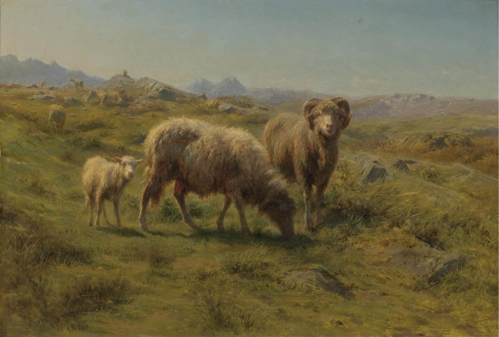 A Sheep, Ram and Lamb with the Flock