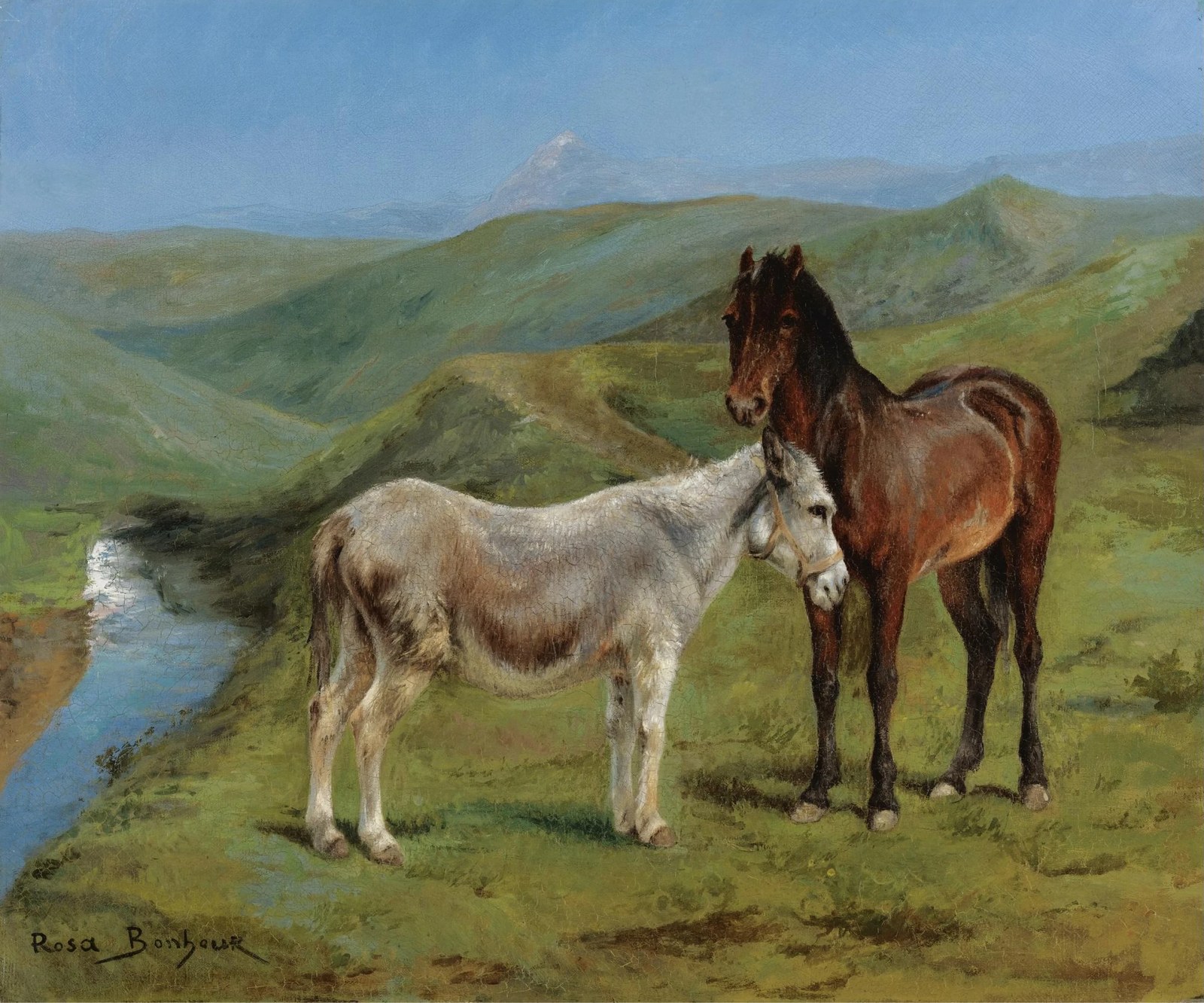 A Pony and a Donkey in a Mountain Landscape