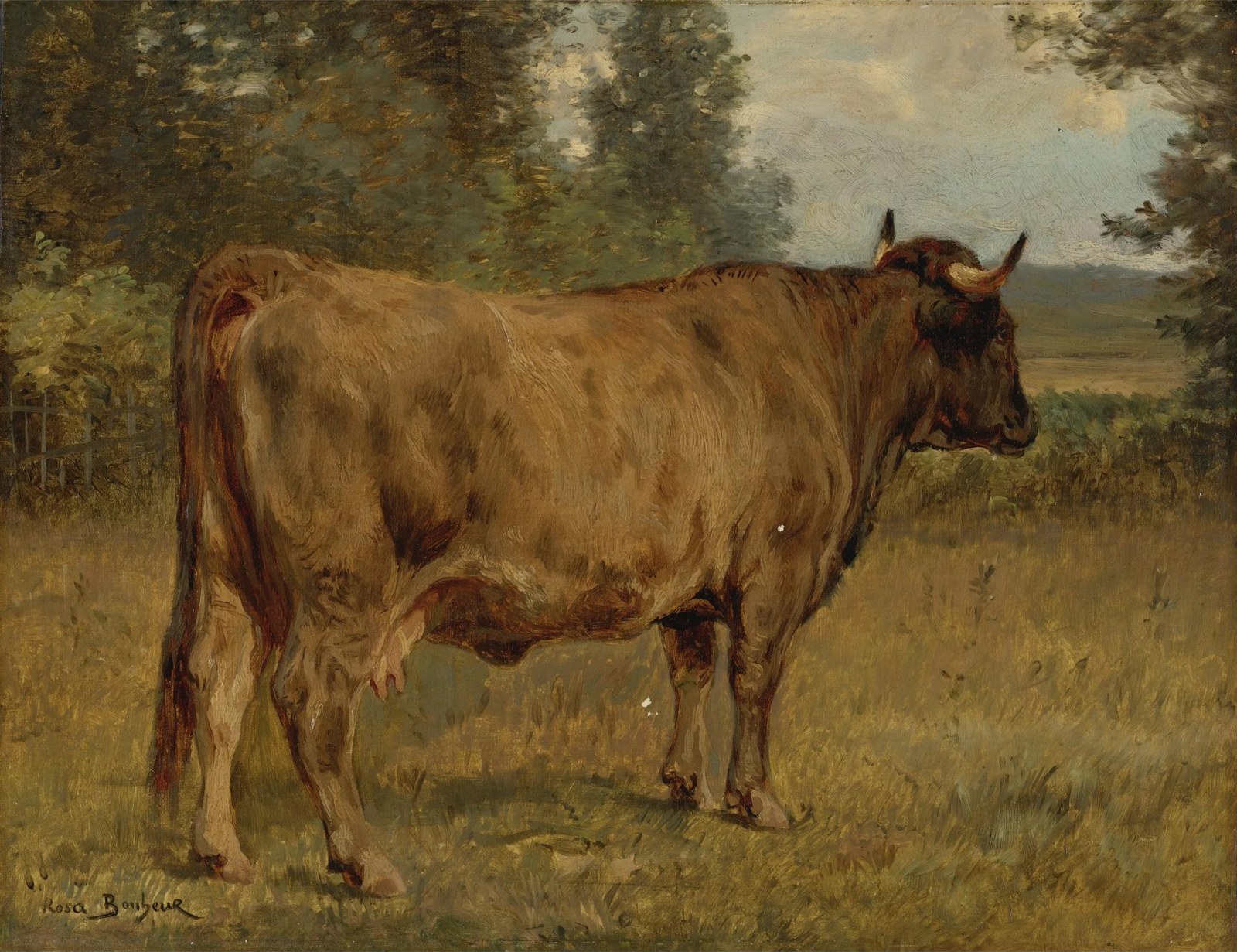 Bull in a Landscape