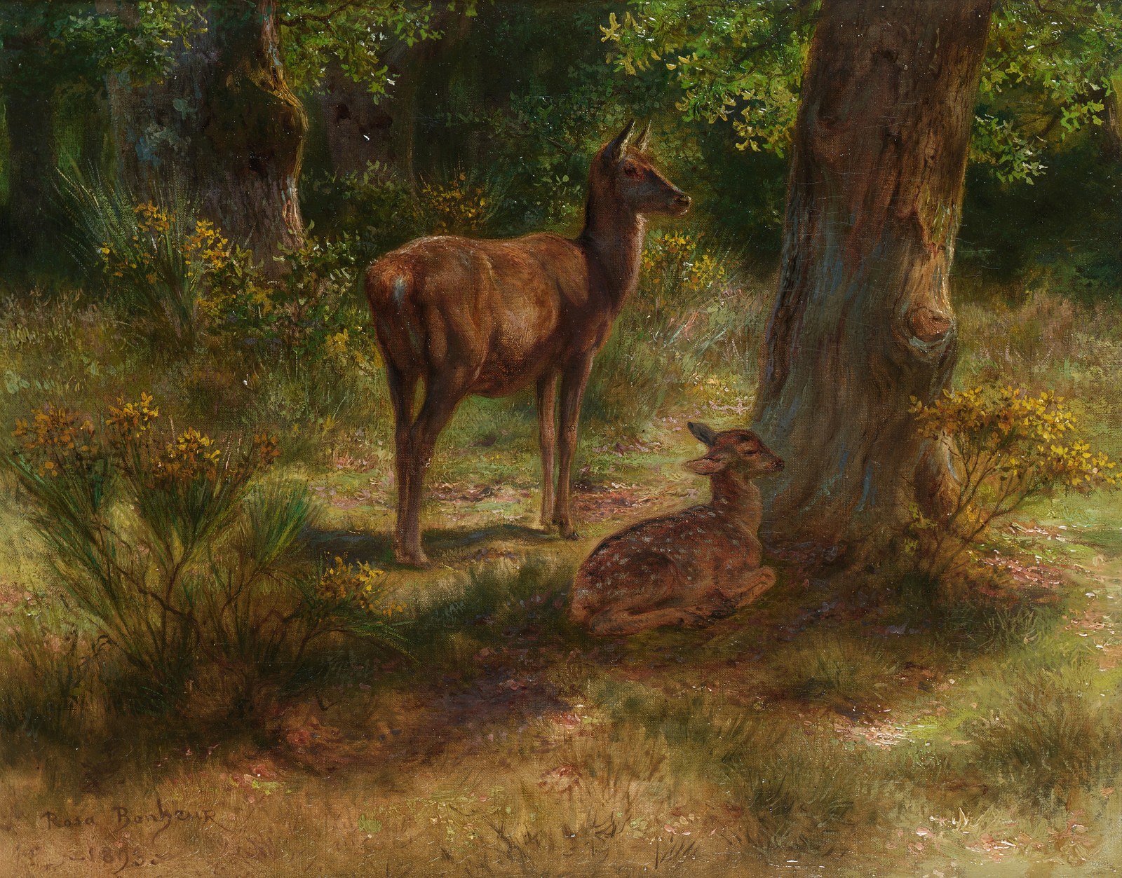 Deer and fawn in a wood