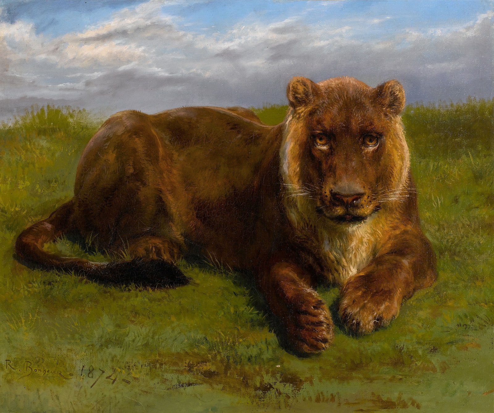 Lioness Posing
