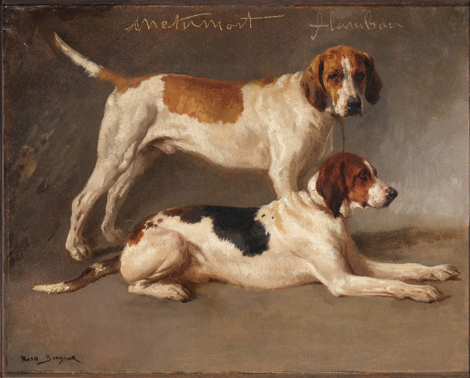 Metamort and Flambeau