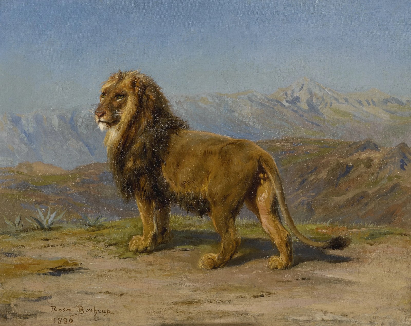 Lion in a Mountainous Landscape