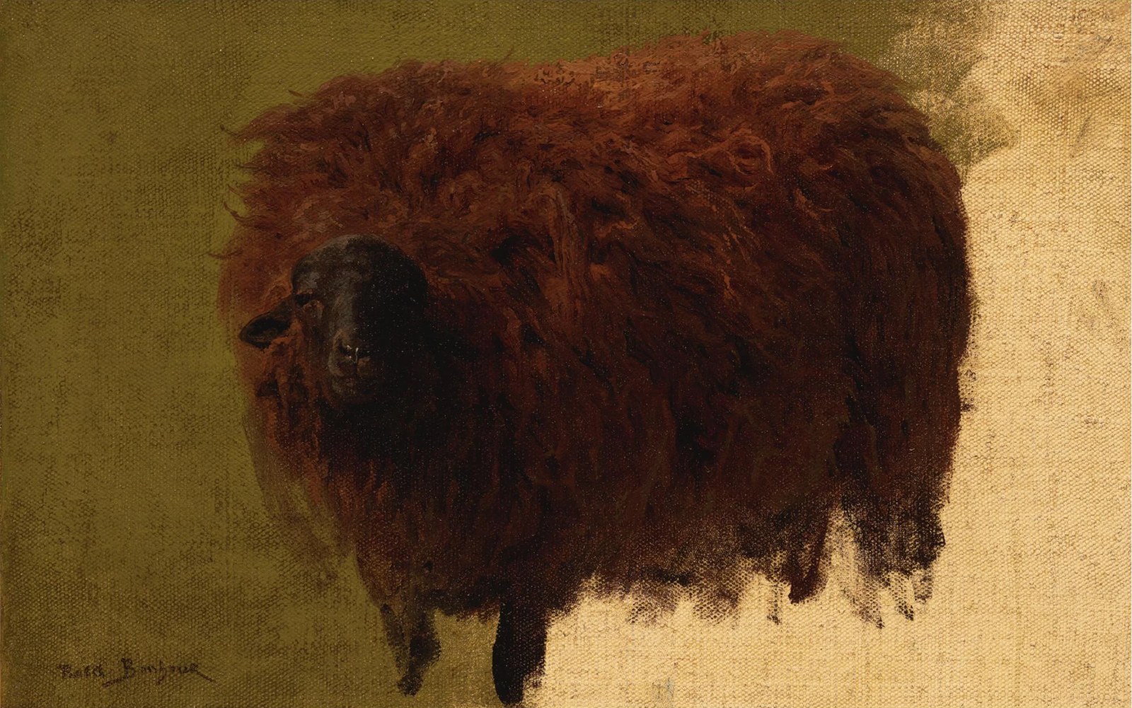 Large Wooly Sheep (Wether)