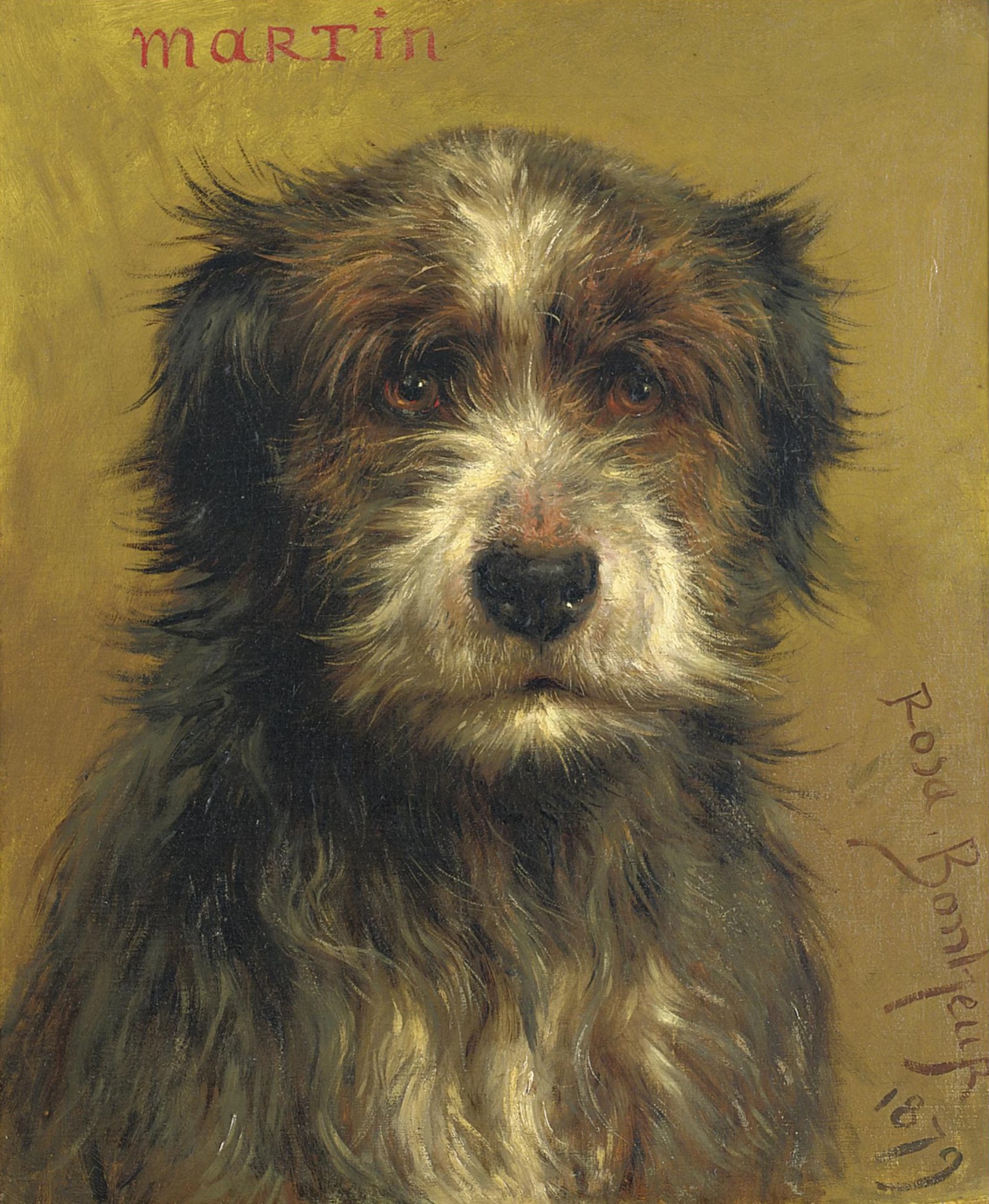 Martin, a terrier