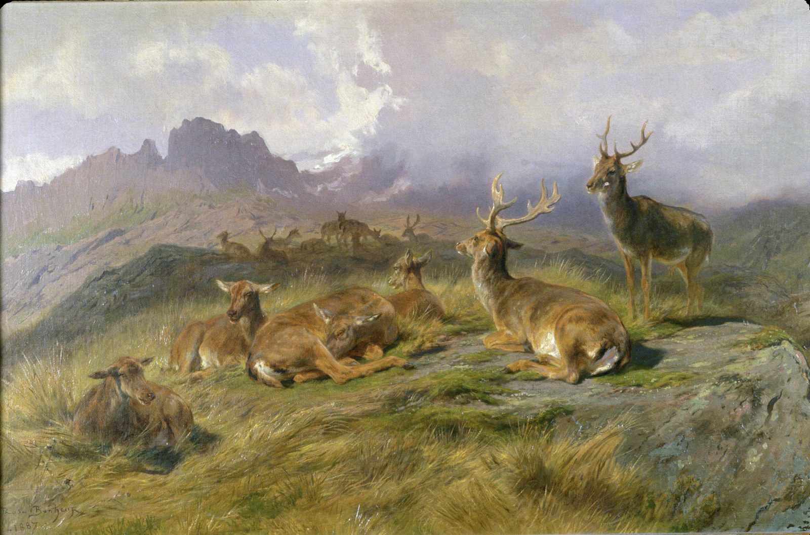 Landscape with Deer